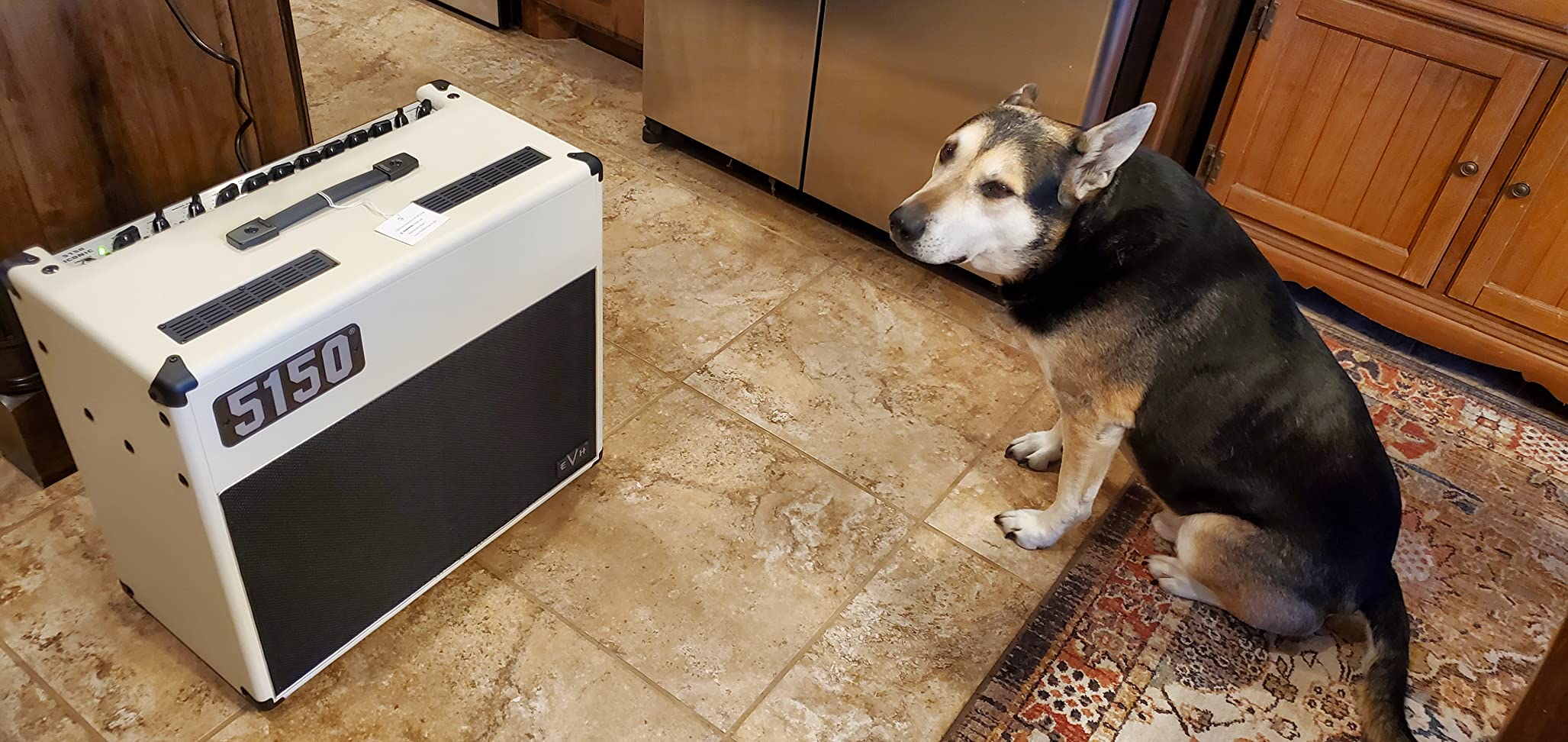 EVH 5150 ICONIC 40W Tube Guitar Amplifier Combo customer photo 1