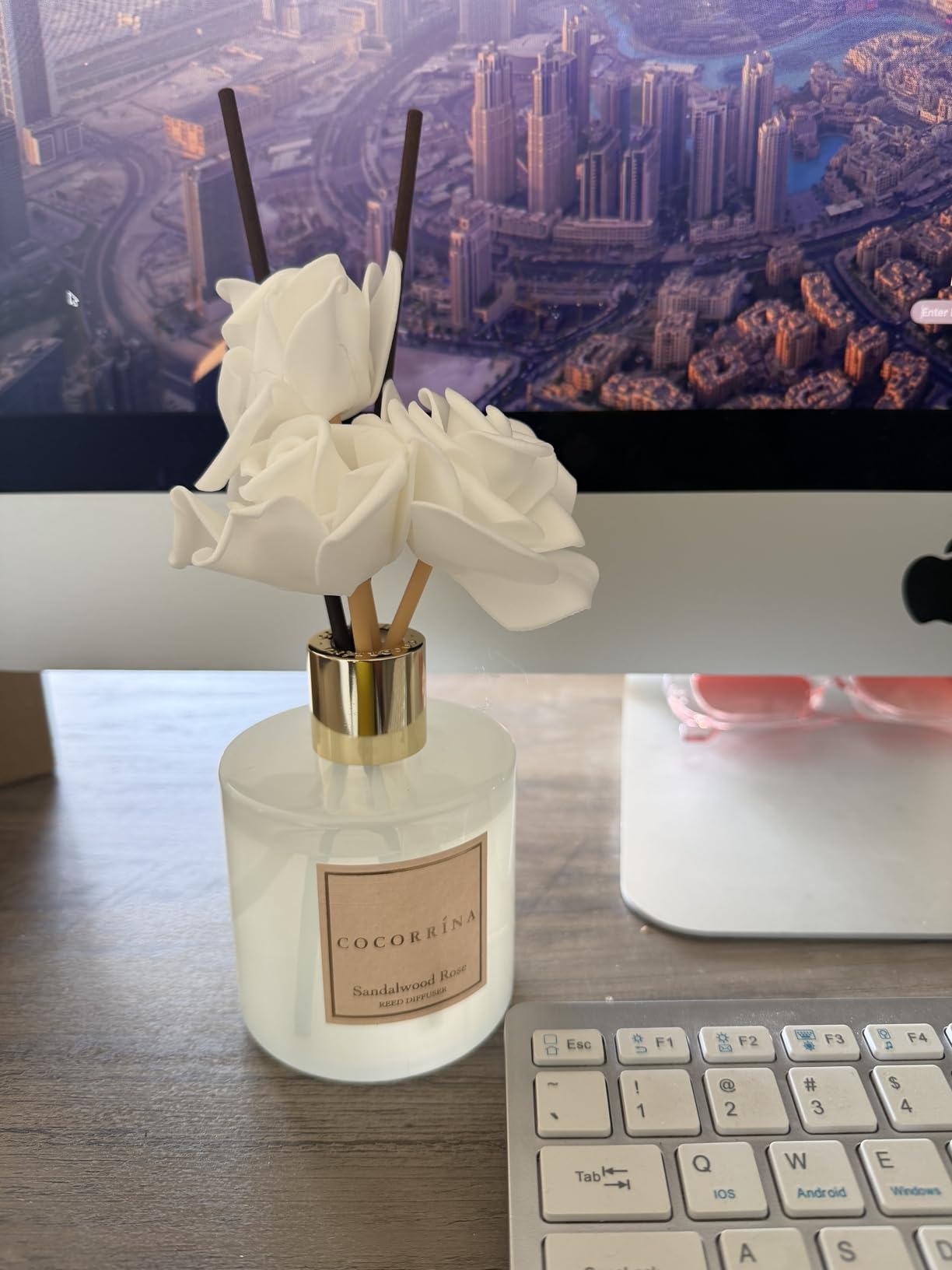 Cocorrína Premium Reed Diffuser Set with Preserved Baby's Breath & Cotton Stick Lavender Thyme | 6.76 Fl.oz Scent Diffuser for Bedroom Bathroom Home Décor customer photo 1