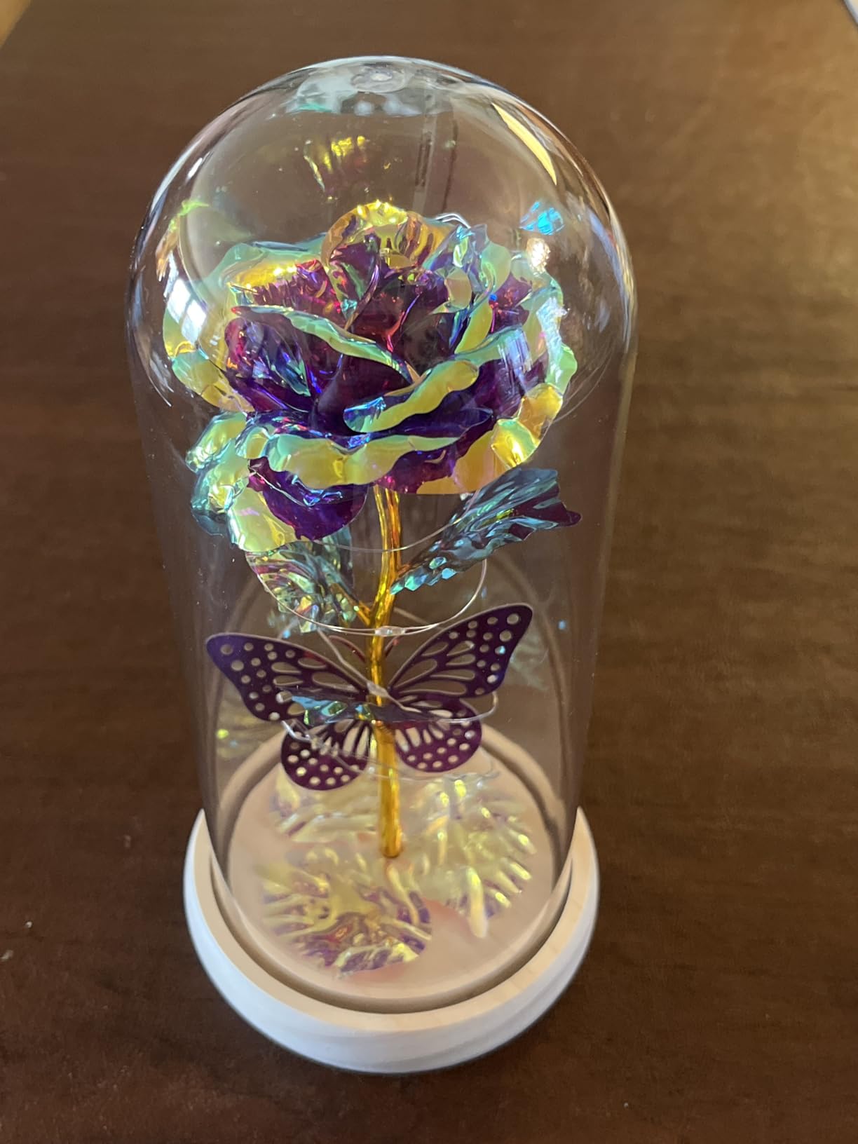 Valentines Day Rose Gifts for Her,Valentines Day Flowers Gifts for Mom Women Girlfriend,Birthday Gifts for Women,Valentines Gifts for Wife,Purple Butterfly Rose Gifts for Valentine's Day Anniversary customer photo 2