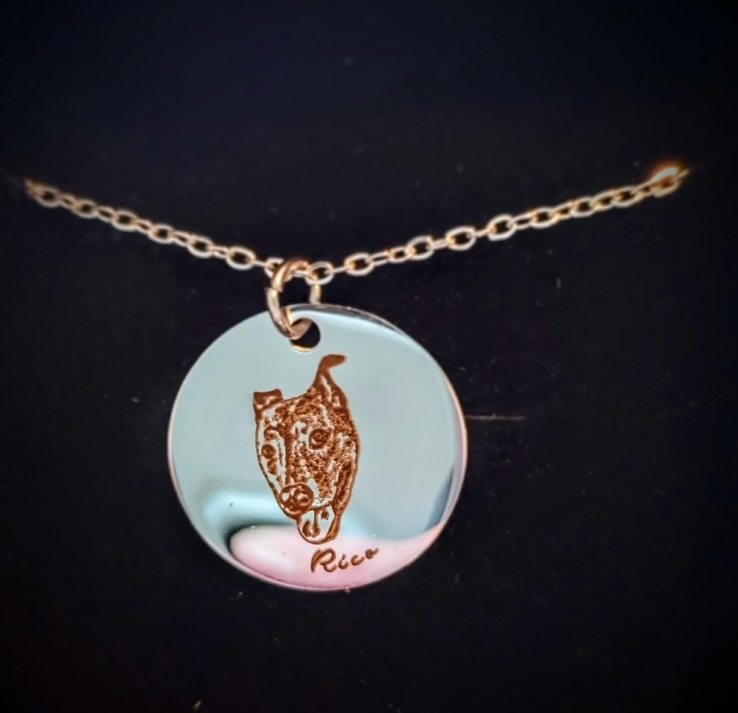 Anavia Customized Pet Portrait & Name Necklace, Personalized Pet Gifts Photo Engraved Necklace, Pet Memorial Jewelry Gift, Cat Dog Necklace for Animal Lover, Dog Mom, Birthday Gift customer photo 1