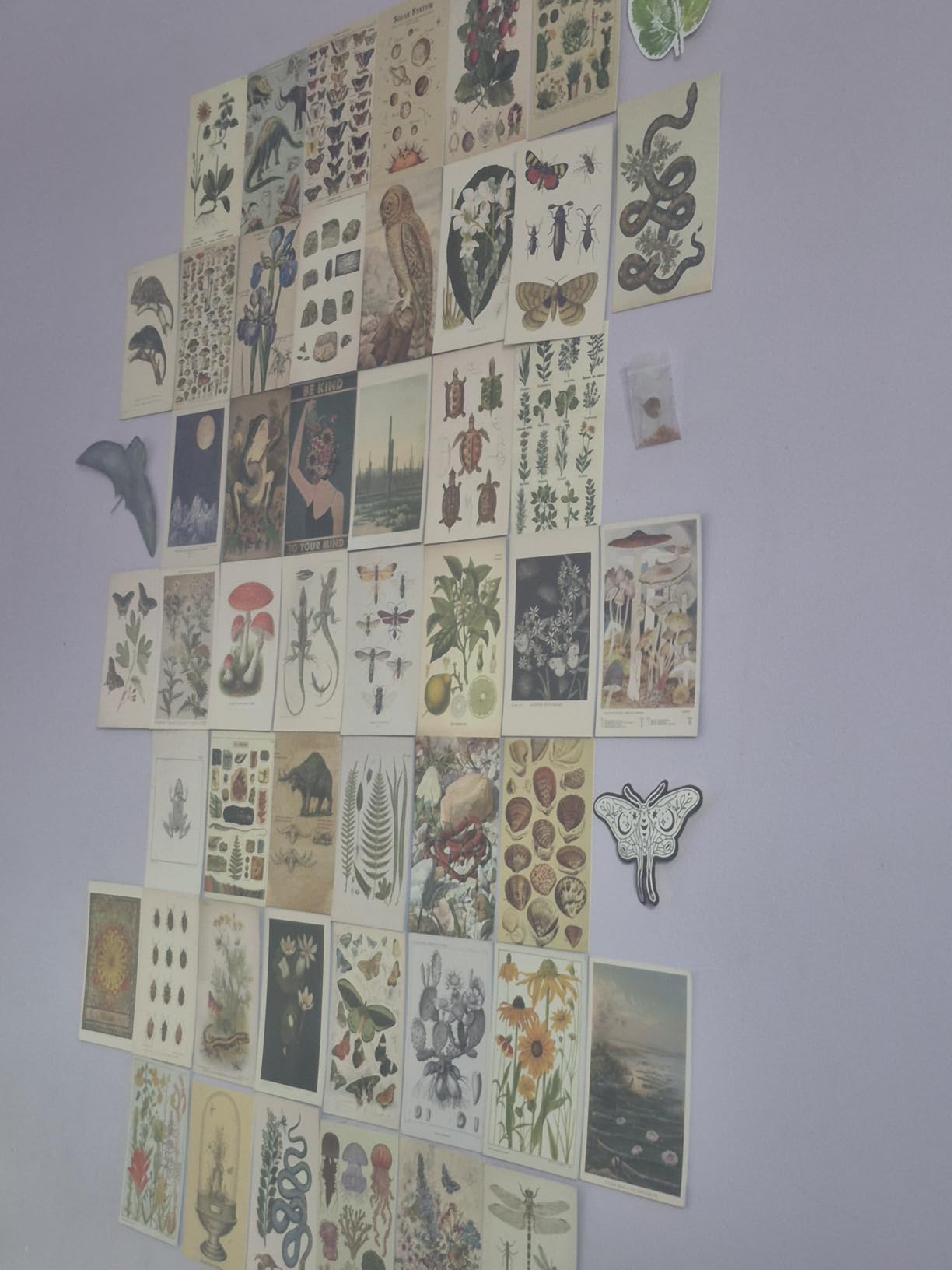 Haoran Vintage Wall Collage Kit Aesthetic Pictures,50 Pcs of 4x6 Inch,Cottagecore Room Decor for Bedroom Aesthetic, Posters for Room Aesthetic, Cute Trendy Boho Wall Decor for Teen Girls,Photo Pictures Dorm Wall Art customer photo 1