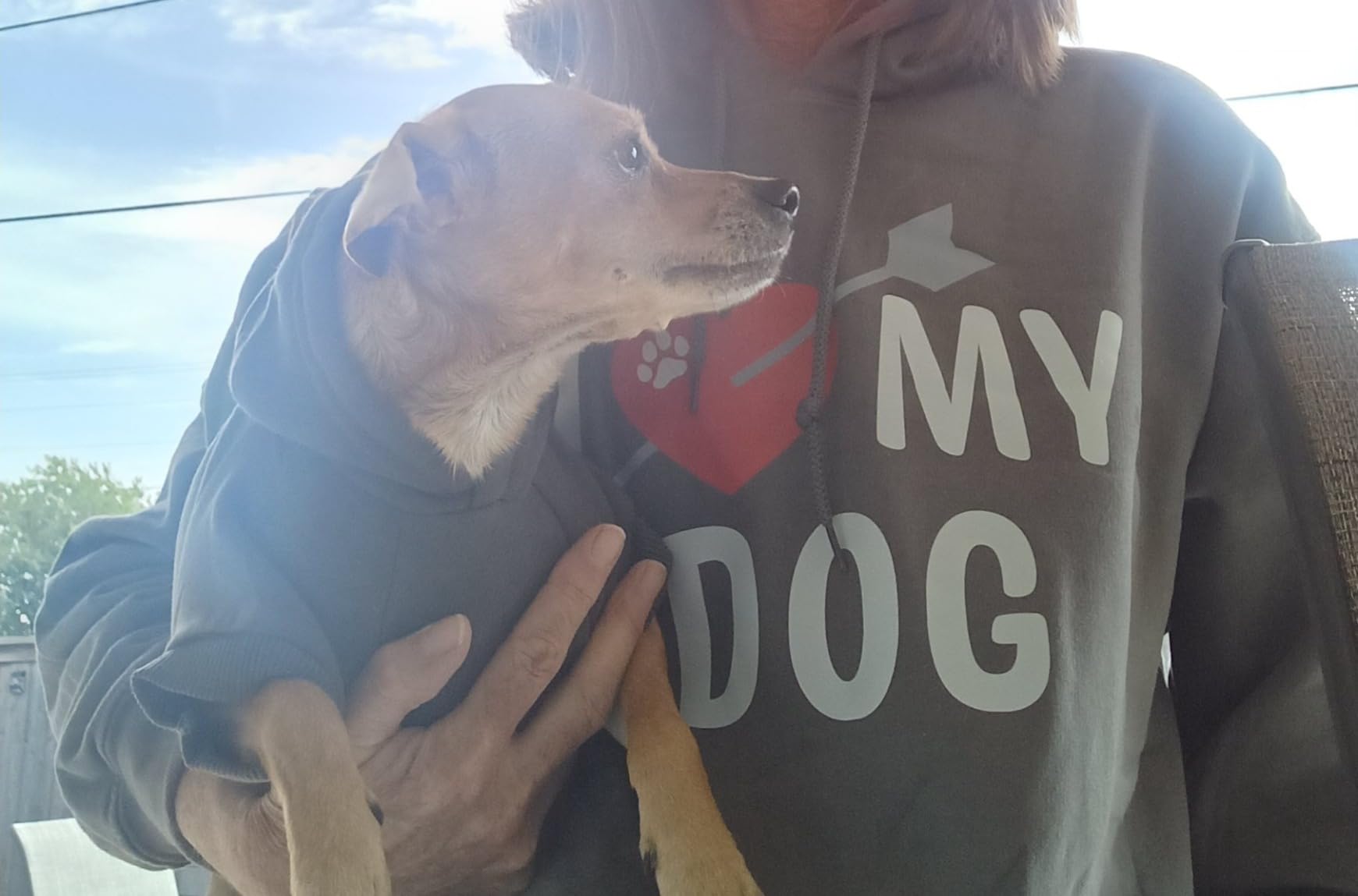I Heart My Dog & Human Matching Hoodies - Soft Pet & Owner Sweatshirt Set - Premium Gift for Holidays customer photo 2
