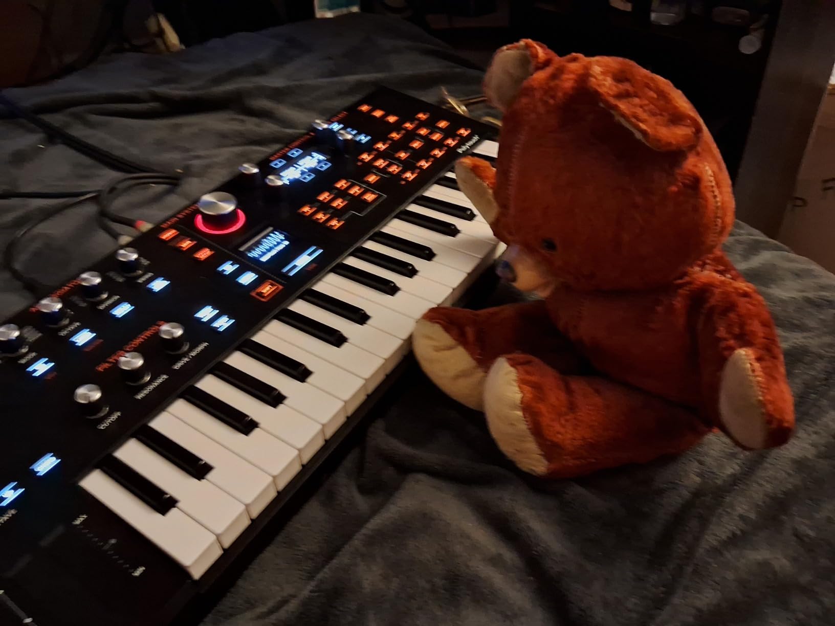 Hydrasynth Explorer 37-Key Digital Polyphonic Synthesizer customer photo 1