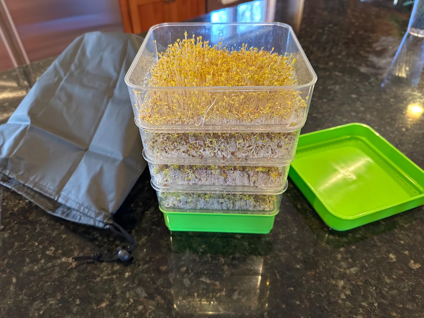 Microgreen Seeds Variety Pack - 10 Heirloom Types for Indoor Sprouting - Broccoli, Pea, Sunflower, Radish, Kale, Arugula & More - High Germination Non-GMO - Survival Garden Seeds (Seed Packs Only) customer photo 1