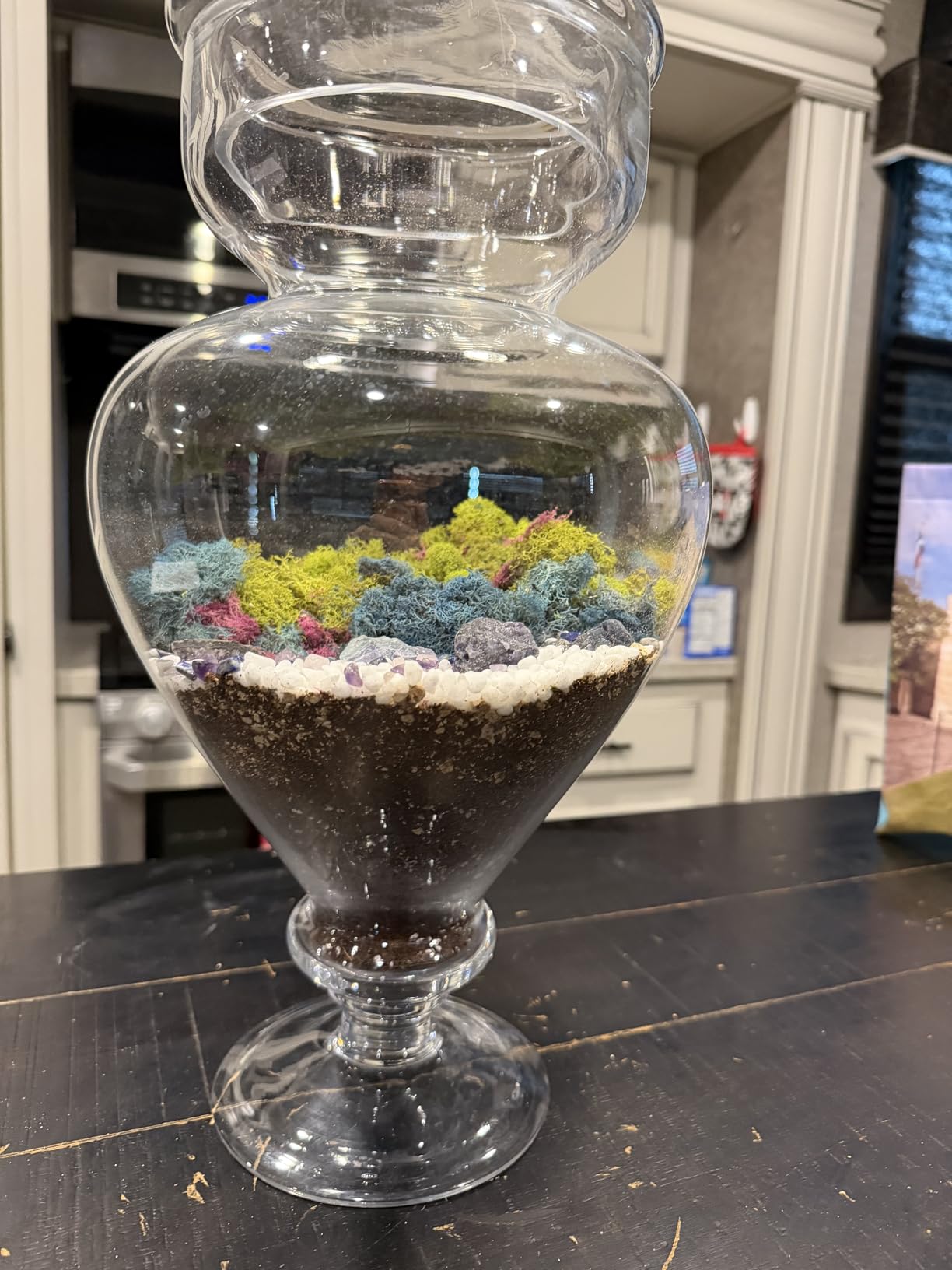 DIY Large Terrarium Starter Kit with Soil, Moss, Pebbles, Healing Crystal, Tools & Supplies - Terrarium Kit for Adults & Kids, Handcrafted in USA customer photo 2