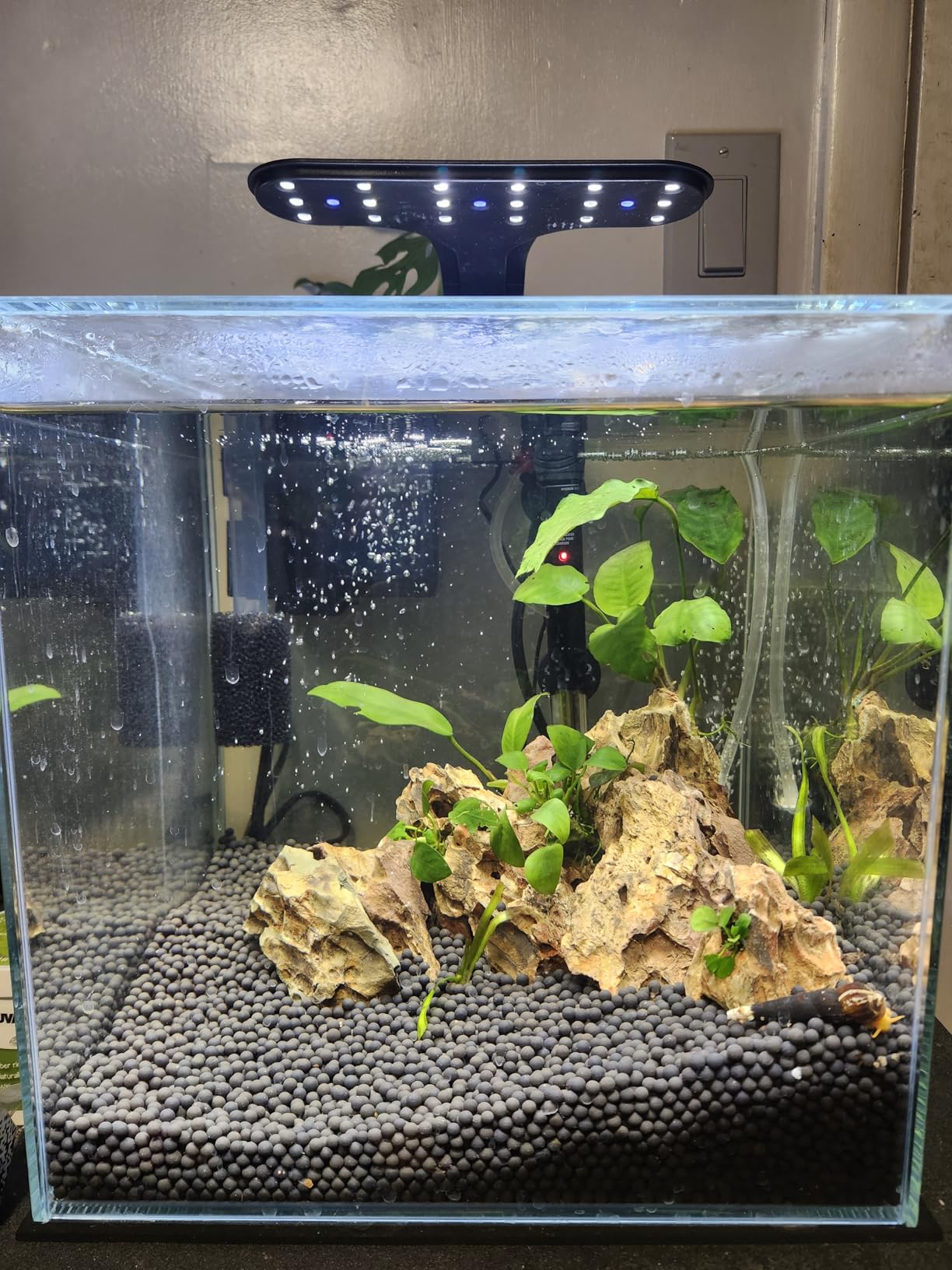 7Gal Ultra Clear Rimless Low Iron Glass Cubic Aquarium Tank (30x30x30cm) 5mm Thickness Include Black Leveling Mat customer photo 1