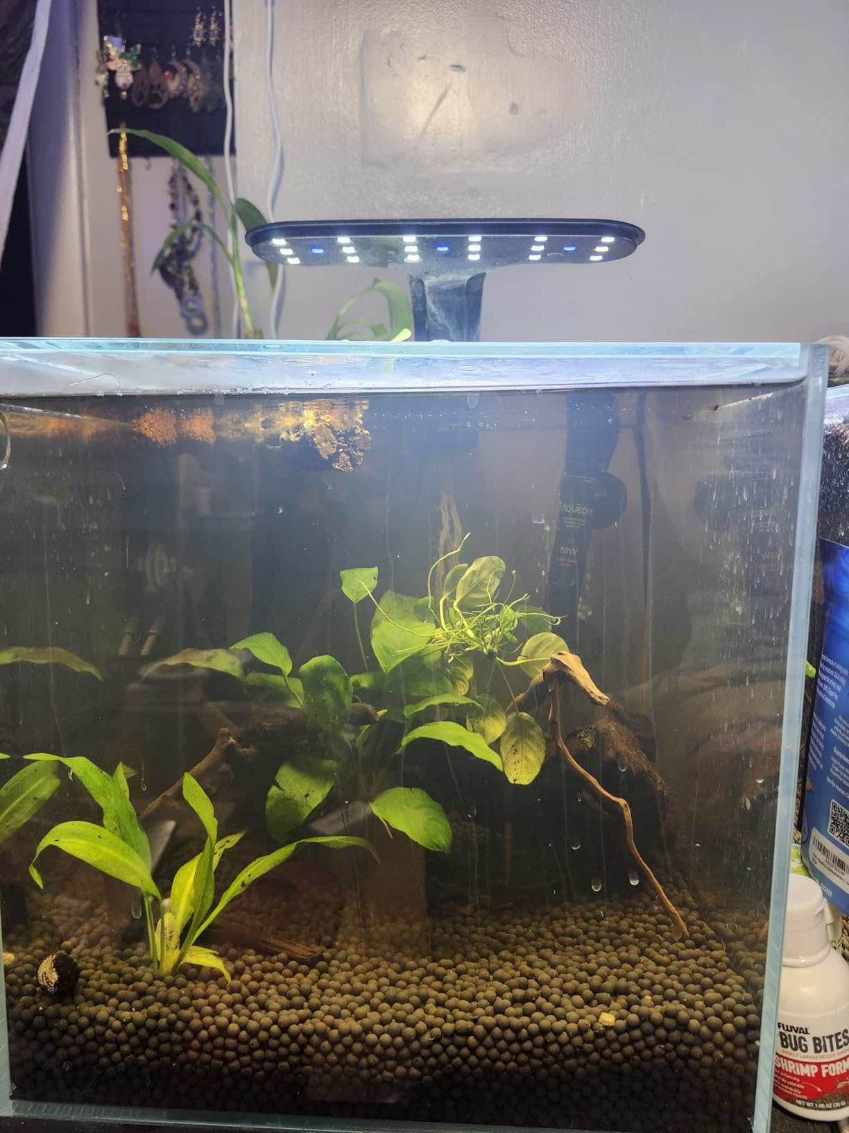 7Gal Ultra Clear Rimless Low Iron Glass Cubic Aquarium Tank (30x30x30cm) 5mm Thickness Include Black Leveling Mat customer photo 2