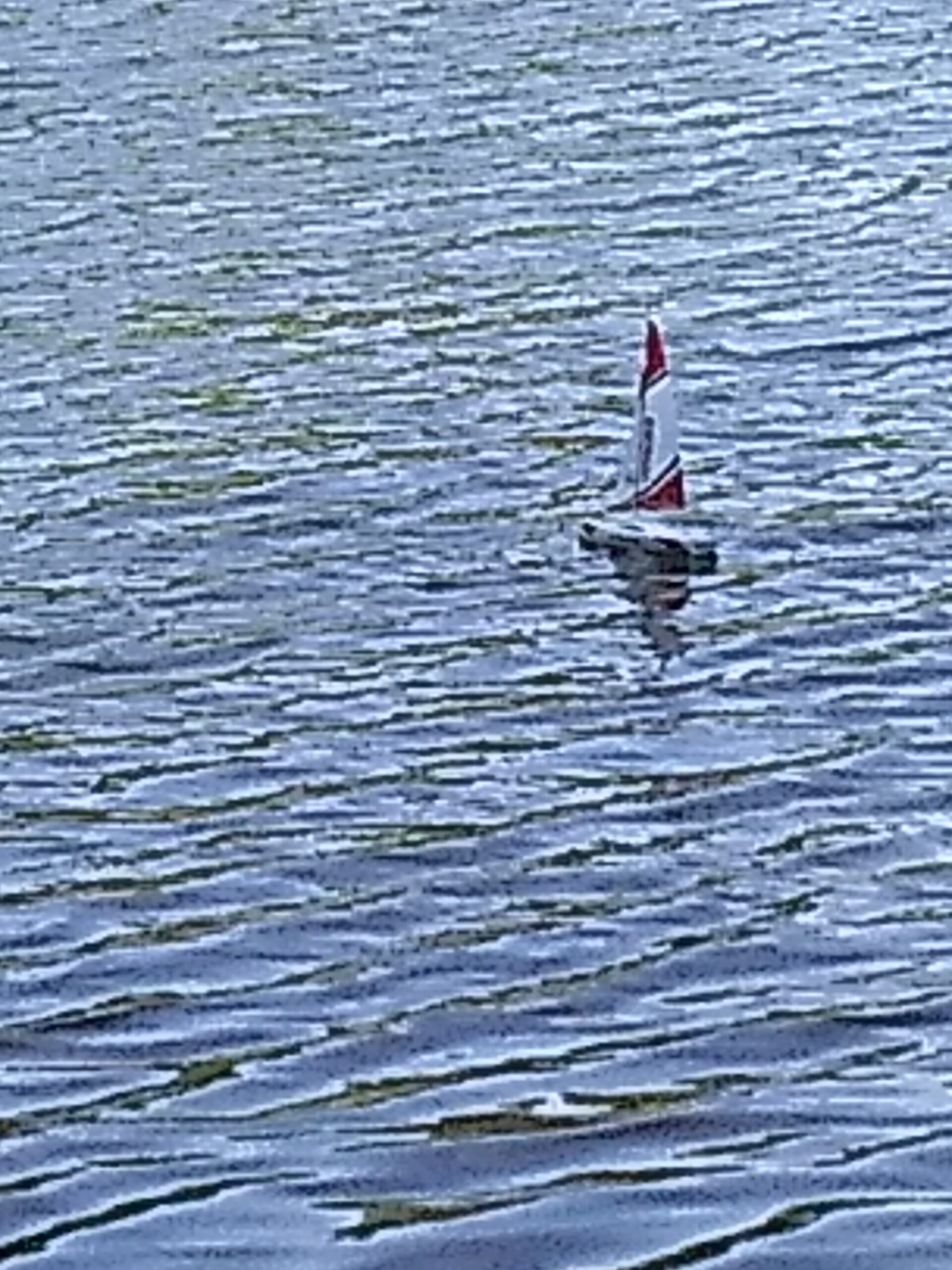 Voyager 280 2.4GHz RC Motor Powered Sailboat in Blue - 17.5