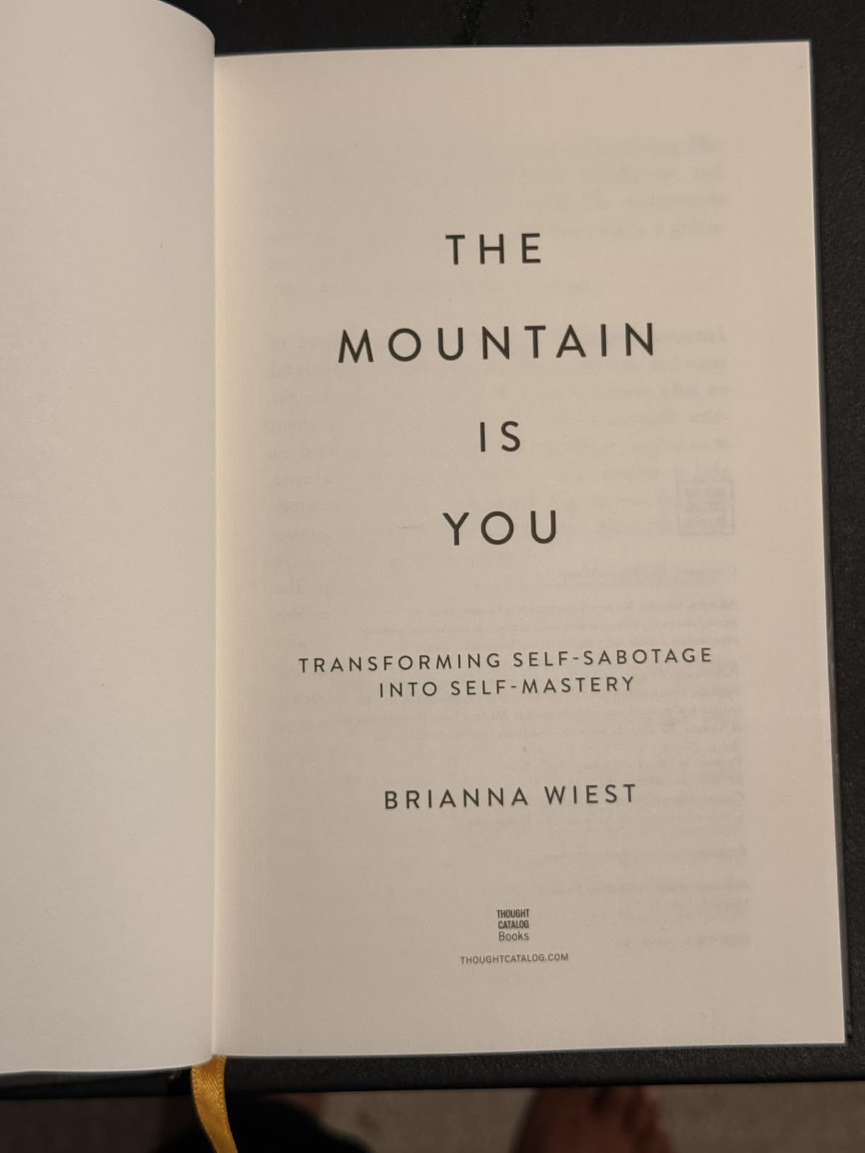 The Mountain Is You: Transforming Self-Sabotage into Self-Mastery customer photo 1