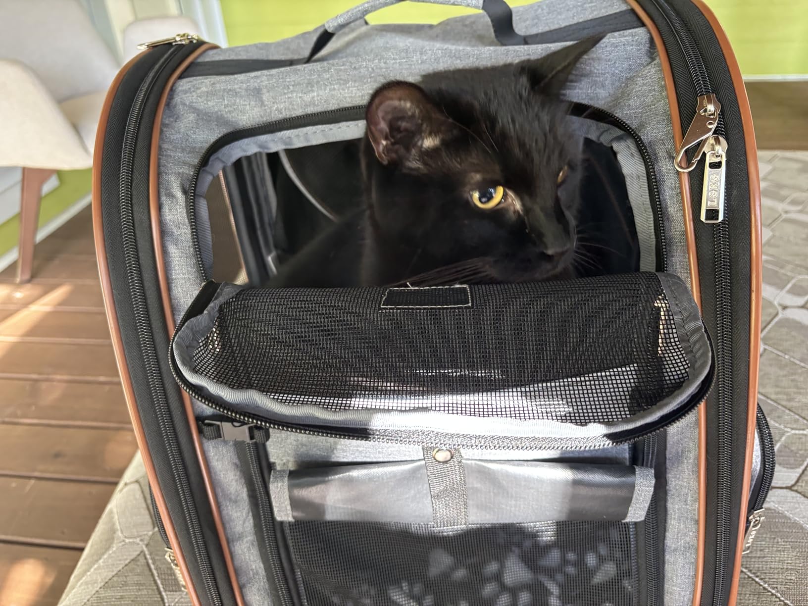 Lekebobor Cat Carrier Backpack, Expandable Pet Carrier with Sun Shade & Full Front Opening, Breathable Mesh Backpack for Small Dogs & Medium Cats Up to 18 Lbs, Foldable for Hiking, Camping (Grey) customer photo 2