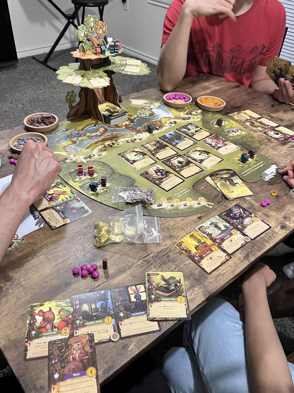 Everdell Board Game - Strategic Worker Placement & Tableau Building Game for Adults & Teens, 1-4 Players, Age 14+, Award-Winning Tabletop Fantasy Game customer photo 1