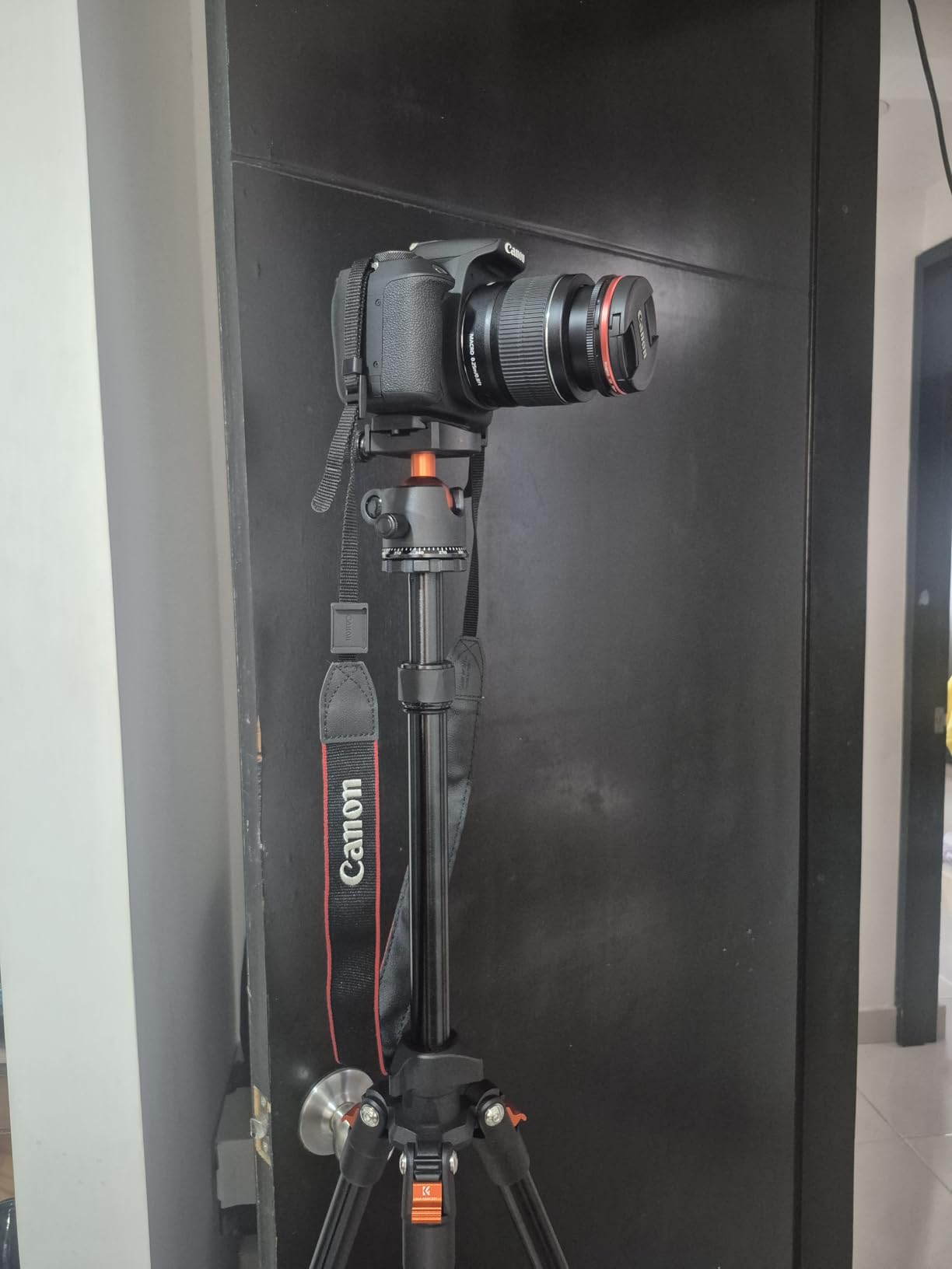 K&F CONCEPT 64 inch/163 cm Camera Tripod, Lightweight Travel Outdoor DSLR Tripods with 360 Degree Ball Head Load Capacity 17.6 lbs/8 kg, Cellphone Clip for Smartphone Live Streaming Vlog customer photo 2
