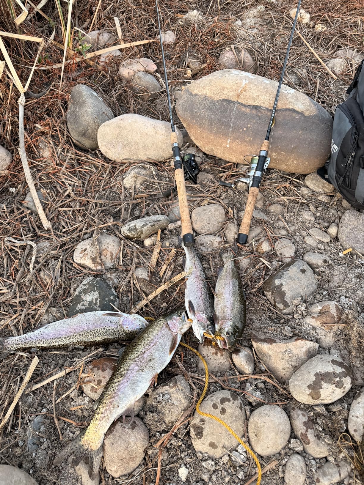 Piscifun Carbon X II Spinning Reels customer photo 1