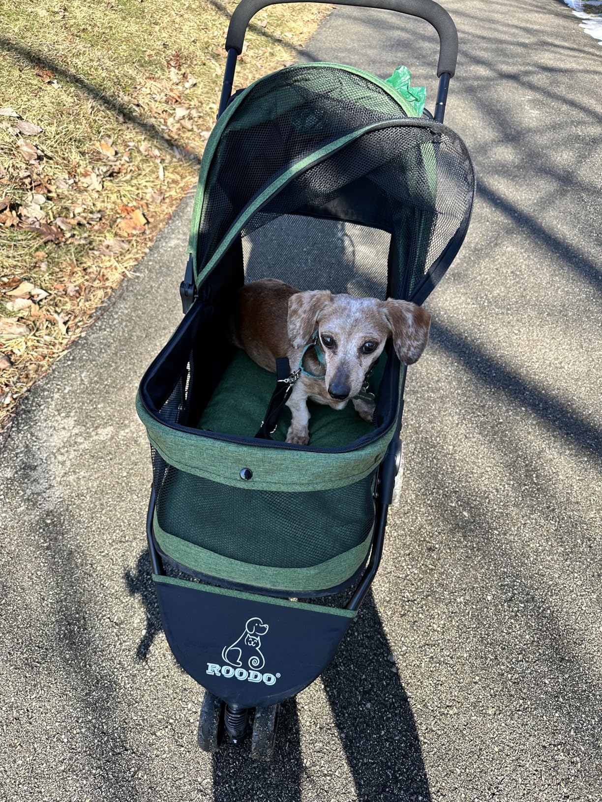 ROODO 3 Wheel Pet Stroller Best Lightweight Foldable Compact Portable Jogger All Terrain Travel Pet Gear Puppy Kitty Stroller for up to 30lbs Medium Small Dogs and Cats customer photo 1