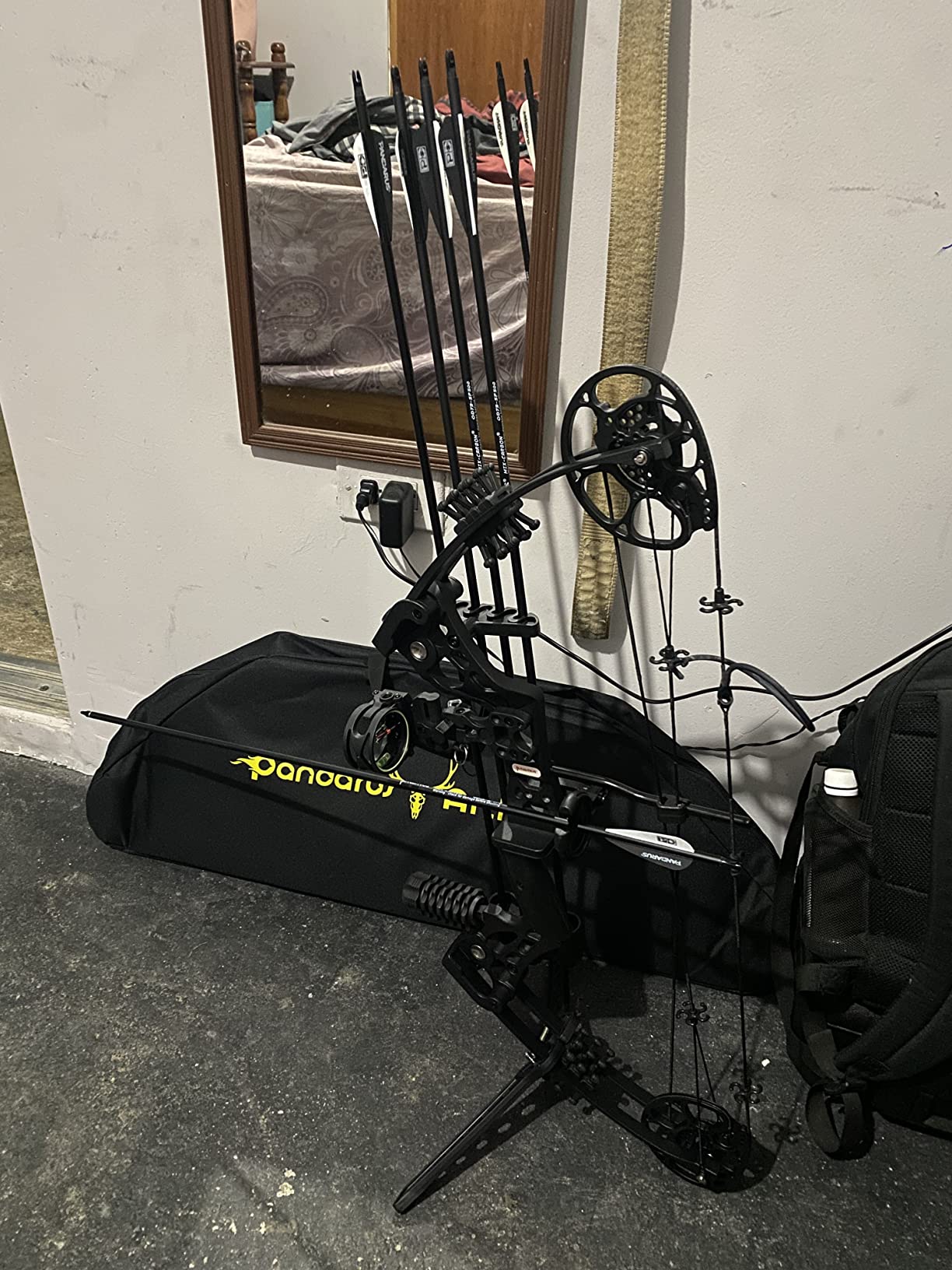 Compound Bow Set 15-45lbs for Pull Beginner and Teens Right Handed Adjustable 18-29 Draw Length, 320 FPS Speed, Hunting Bow Archery Set New 2024 customer photo 2