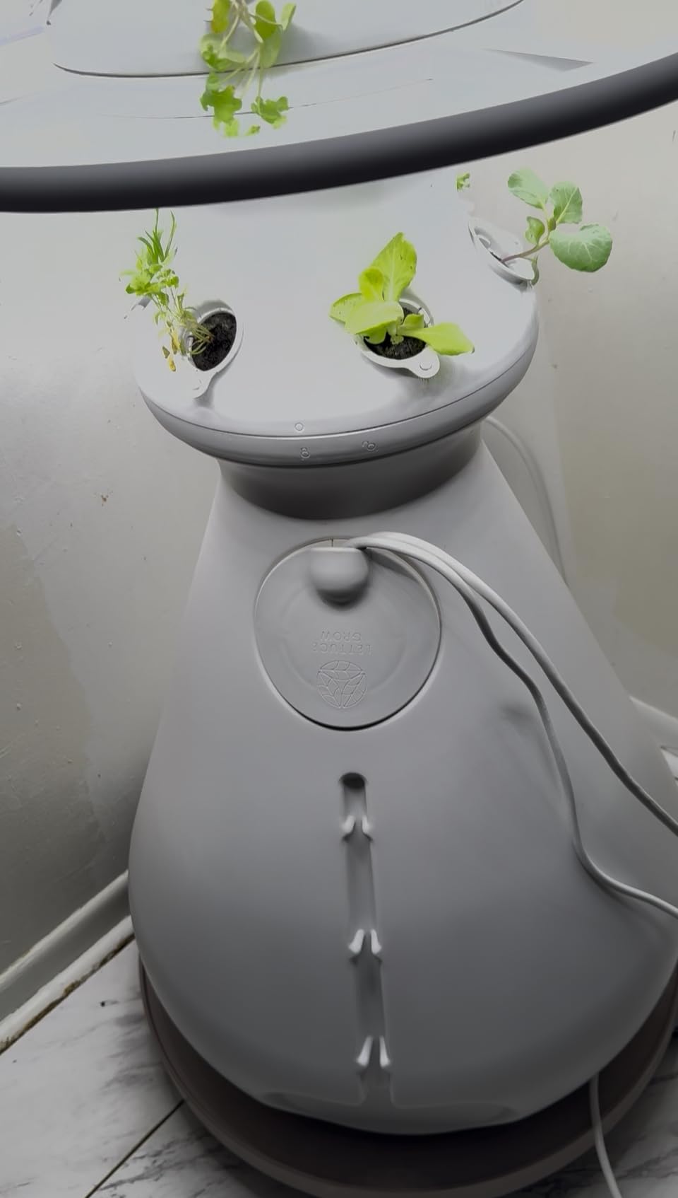 Lettuce Grow Farmstand Starter Kit with Glow Rings + 30 Seedling Credits | 5 ft Vertical Hydroponic Garden Tower customer photo 1