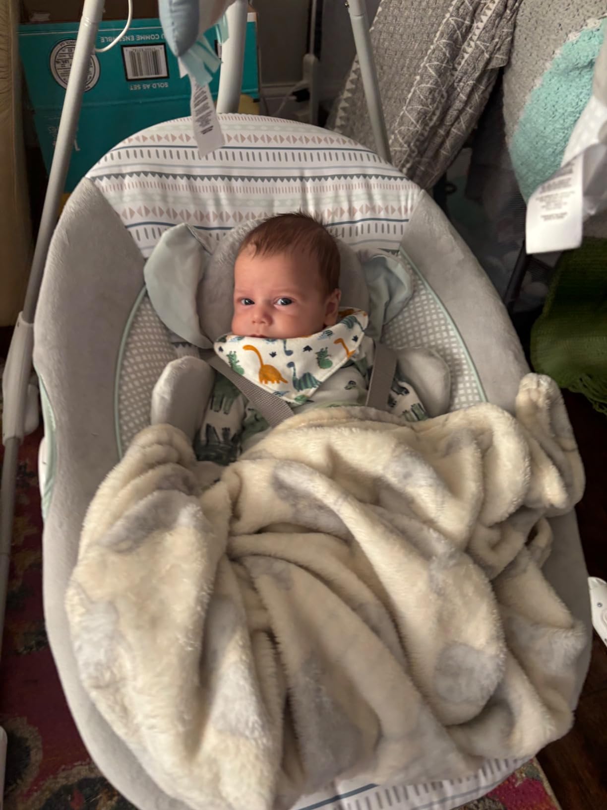 Ingenuity InLighten 5-Speed Baby Swing - Swivel Infant Seat, 5 Point Safety Harness, Nature Sounds, Lights - Van Elephant customer photo 2