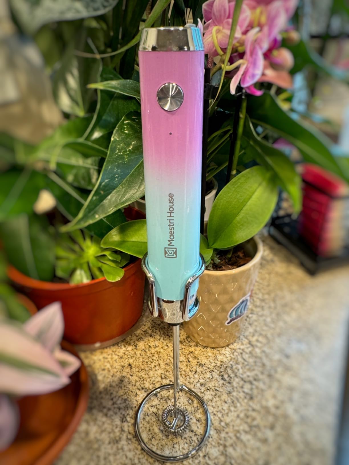 Maestri House Rechargeable Milk Frother LunaFro customer photo 1