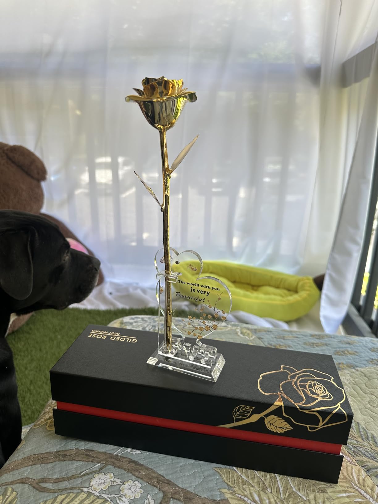 Gold Dipped Rose Real 24K Gold Rose, Genuine One of a Kind Rose Hand Dipped in 24K Golden Roses Romantic Gifts for Women in Her Birthday Anniversary Valentines Day Mothers Day customer photo 2