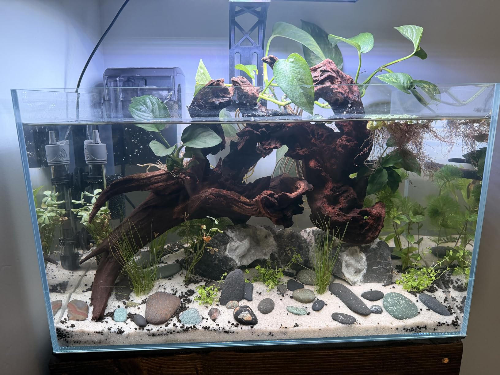 10 Gallon Ultra Clear Glass Fish Tank, Rimless Low Iron Aquarium with Cover Set & Feeding Ring & Cleaning Tools customer photo 2