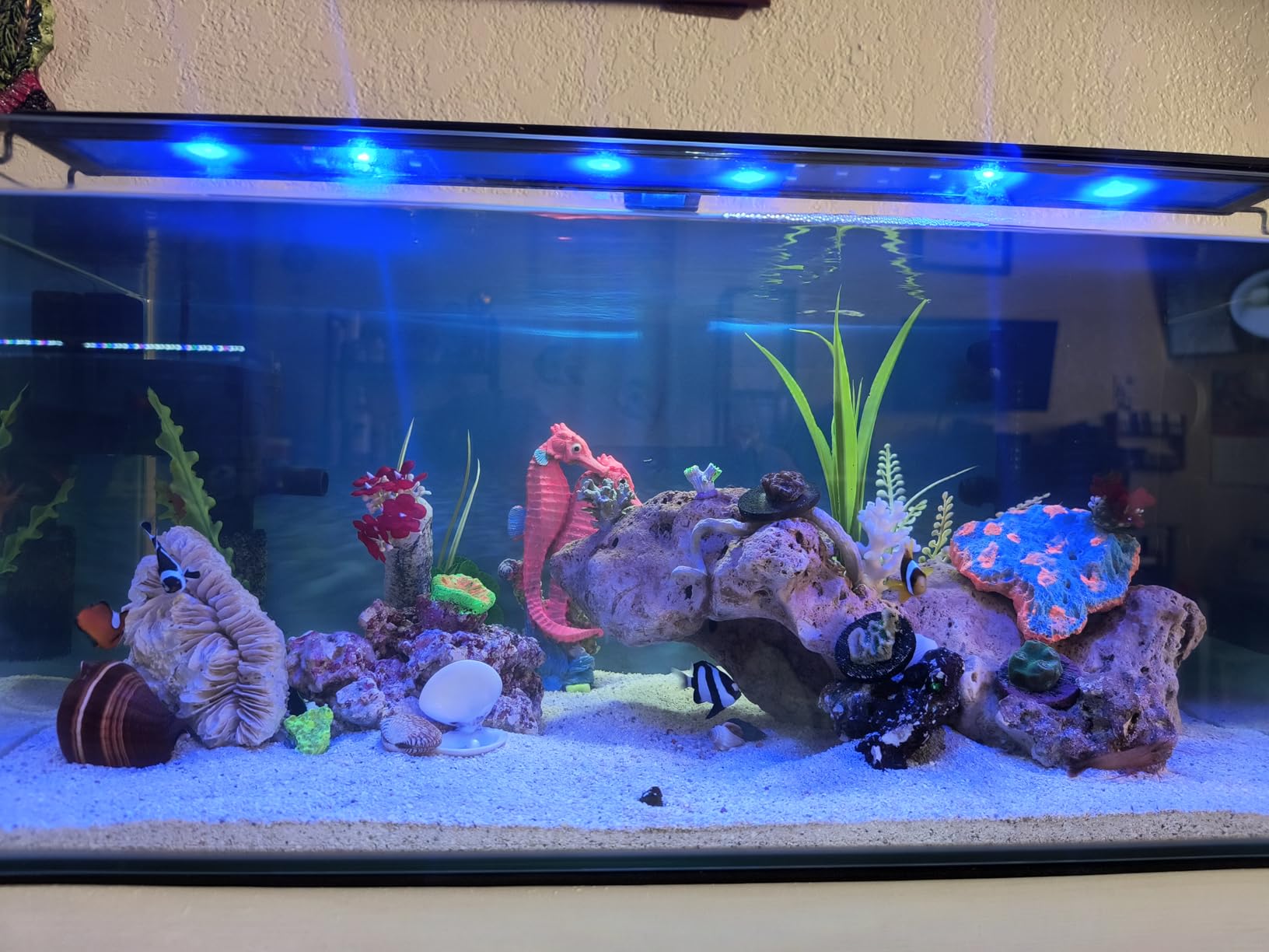 AQUANEAT LED Aquarium Light for 12 Inch Fish Tank, Auto On Off with Timer, Full Spectrum, Adjustable Brightness, Daylight Moonlight Mode, for Fresh Water Low-to-Mid Light Plants customer photo 1