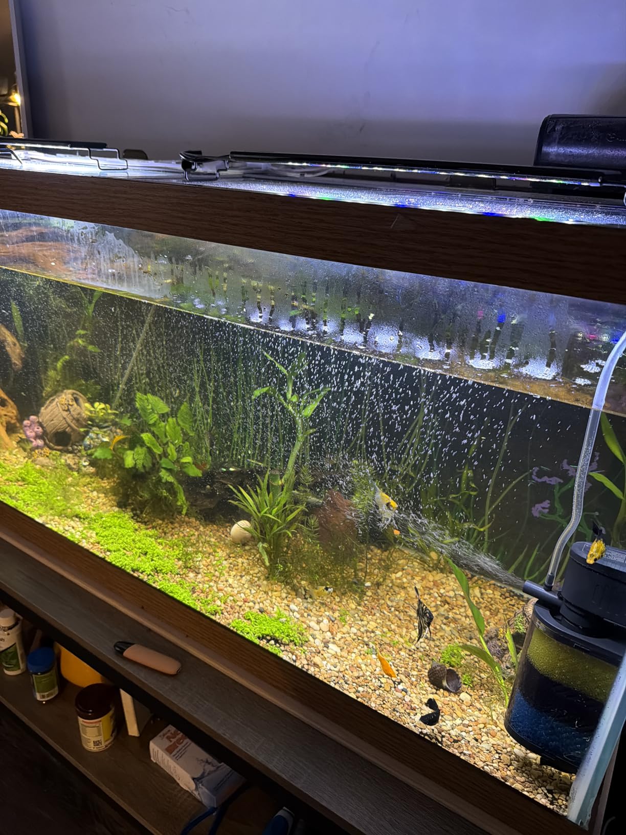AQUANEAT LED Aquarium Light for 12 Inch Fish Tank, Auto On Off with Timer, Full Spectrum, Adjustable Brightness, Daylight Moonlight Mode, for Fresh Water Low-to-Mid Light Plants customer photo 2