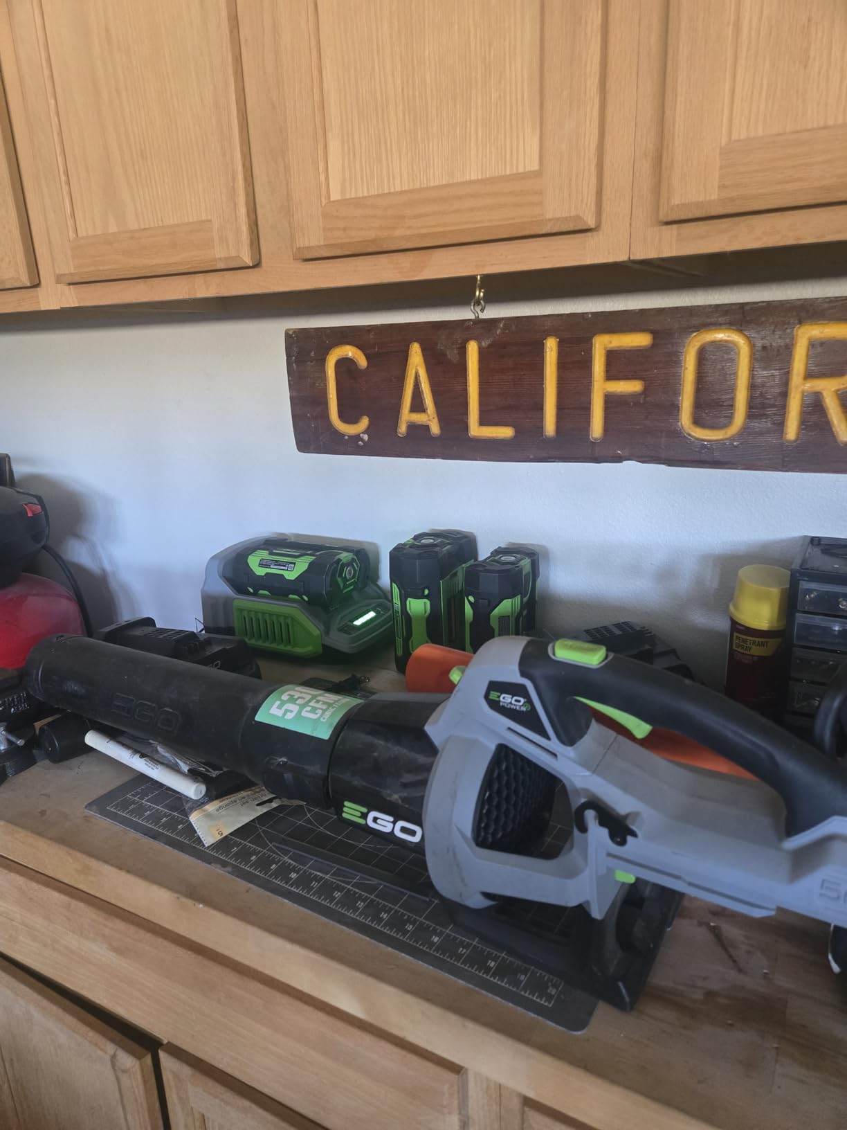 EGO Power+ Pole Saw, Cordless Electric Pole Saw for Tree Trimming with Telescopic LED Cut Line Indicator, Includes 56V 2.5Ah Battery and Charger - PS1001 customer photo 1
