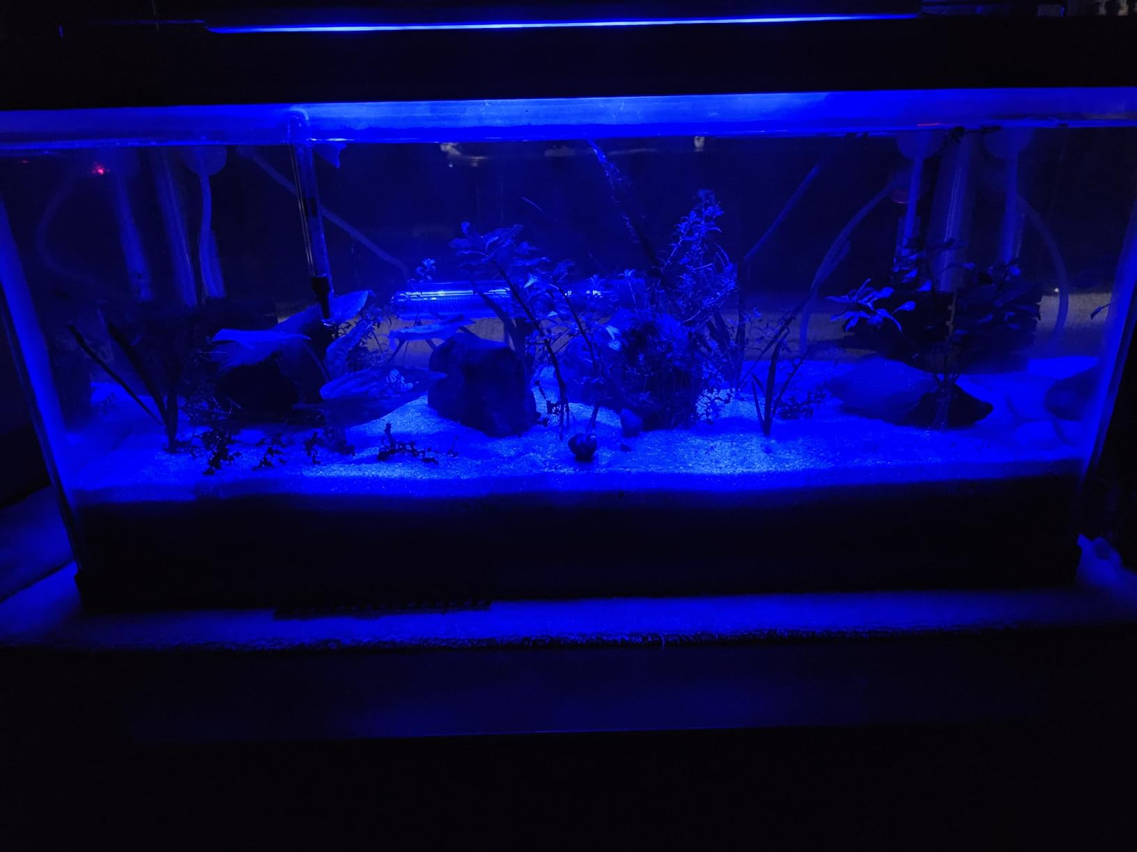 NICREW C10 Plants LED Aquarium Light, 18-24 in, 13 Watts, Full Spectrum Fish Tank Light with Timer, Day and Night Cycle, Brightness Adjustable customer photo 1