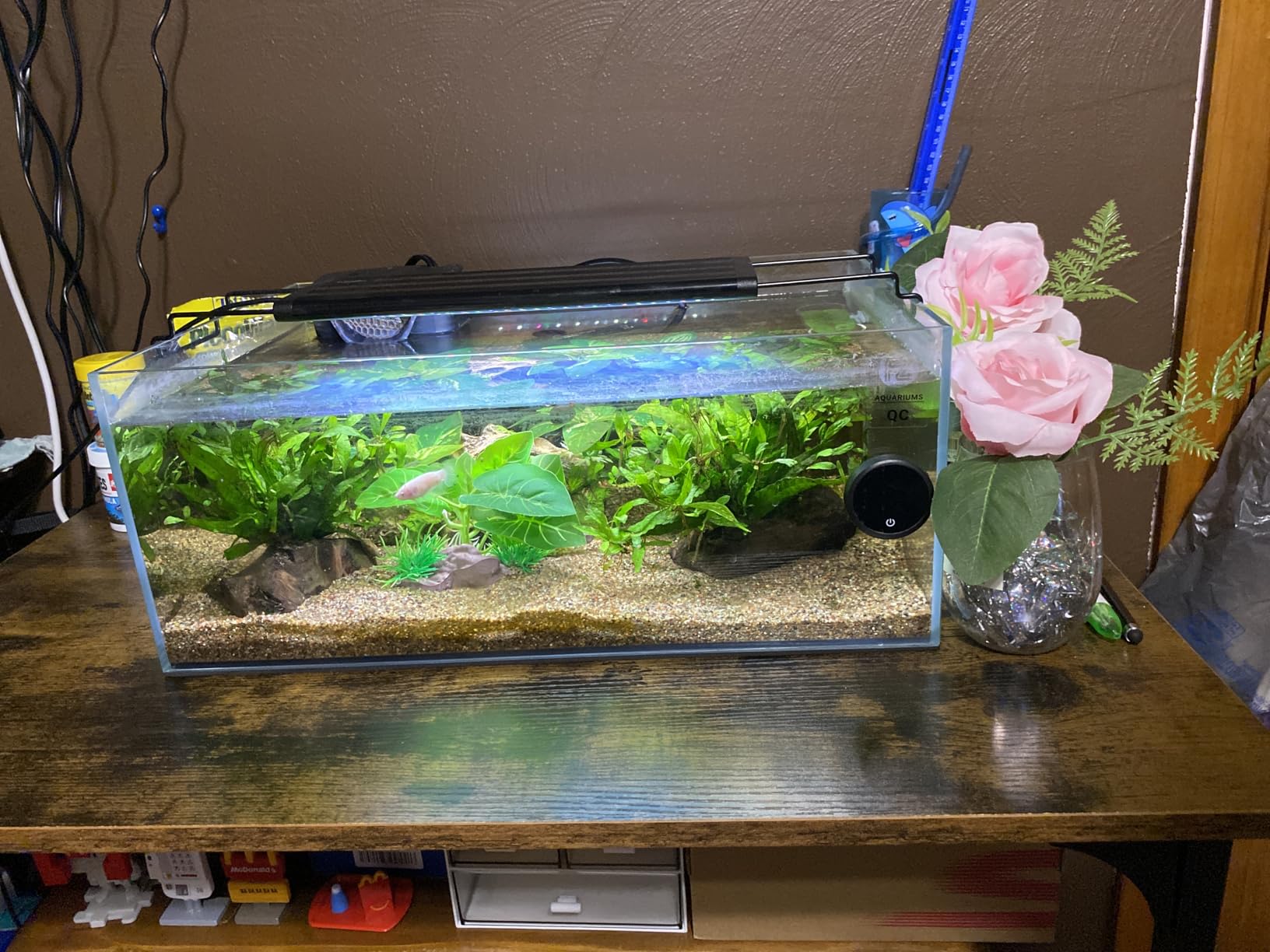 Fzone 9Gal Sharrow Rimless Low Iron Fish Tank Nova Clear Ultra-White 45° Mitered Edges Translucent Glass Anata Series Aquarium w/Black Foam Leveling Mat customer photo 1