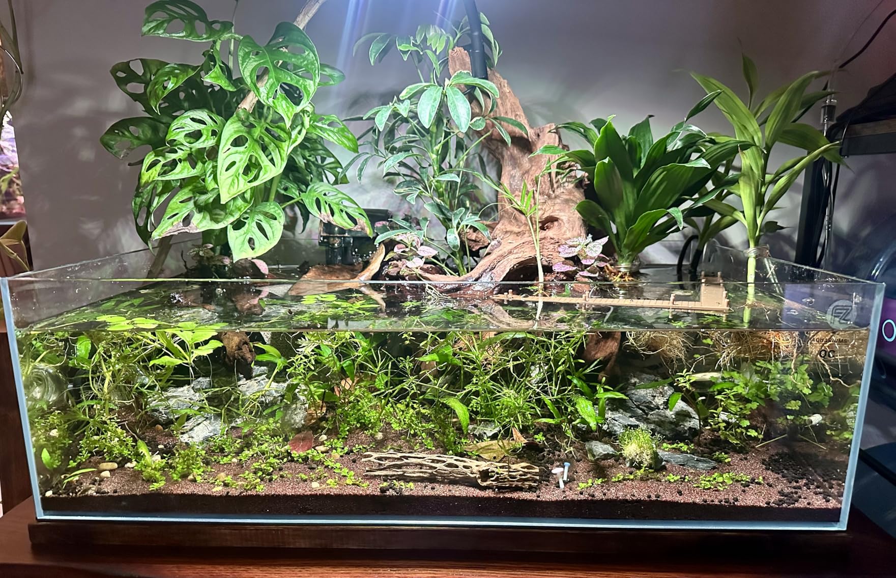 Fzone 9Gal Sharrow Rimless Low Iron Fish Tank Nova Clear Ultra-White 45° Mitered Edges Translucent Glass Anata Series Aquarium w/Black Foam Leveling Mat customer photo 2