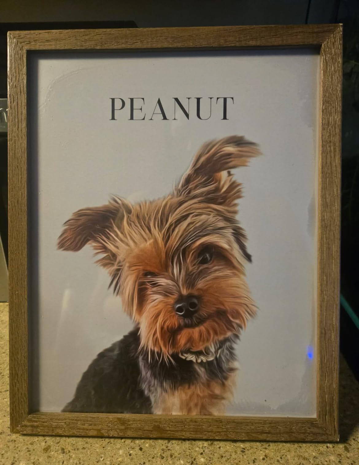 HAUS AND HUES Create Your Own Customized Poster of Pet Portrait or Landscape - Custom Posters Upload Images of Cat & Dog Art, Customized Dog Pictures Wall Decor, Custom Photo Prints customer photo 2