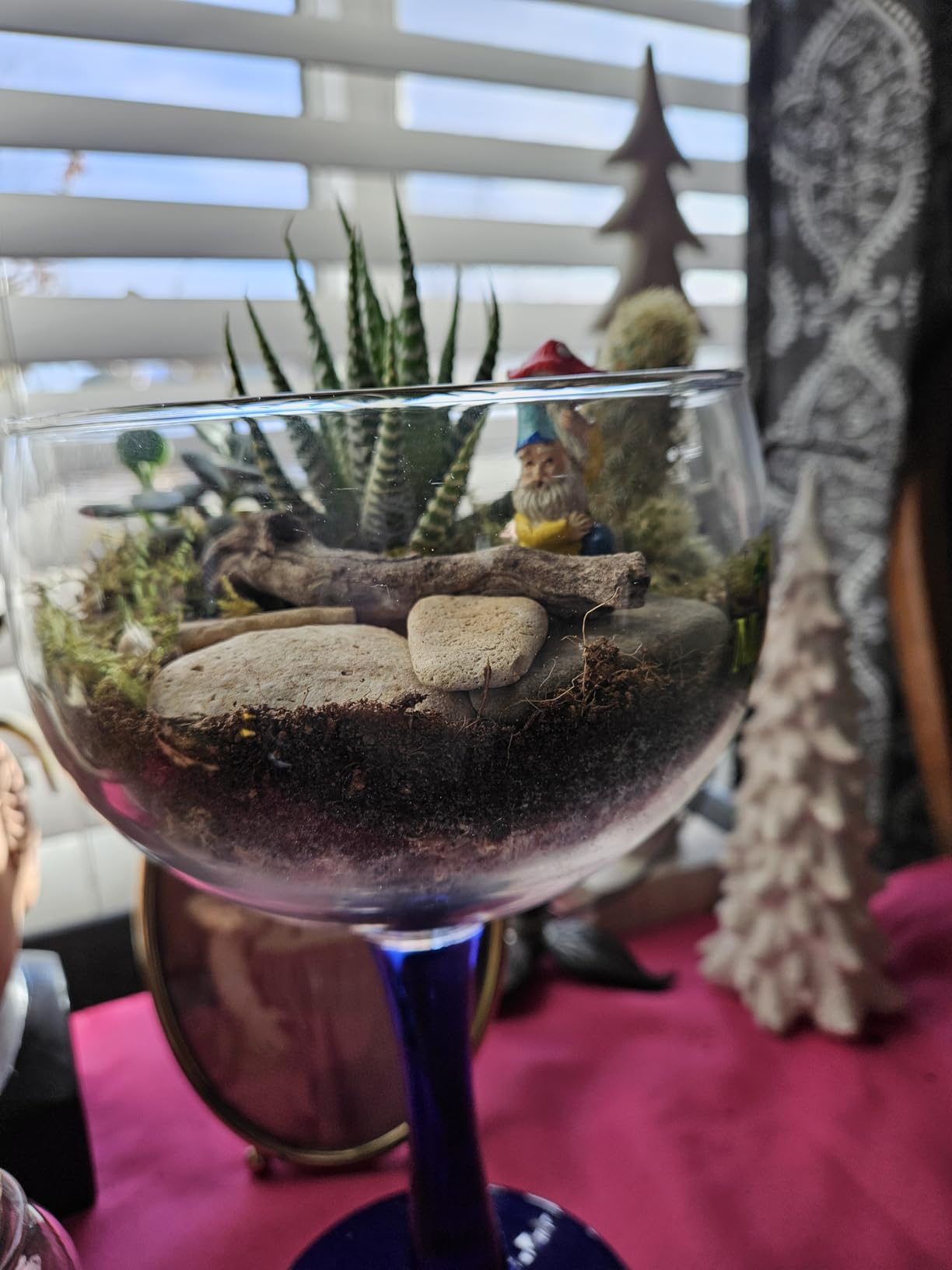 DIY Terrarium Kit for Plants - Build a Self‑Sustaining Closed Ecosystem - Supplies for Up to 68 oz (1‑2 Liter) - Succulents, Air Plants (Tillandsia), Fern - Jar Not Included customer photo 2