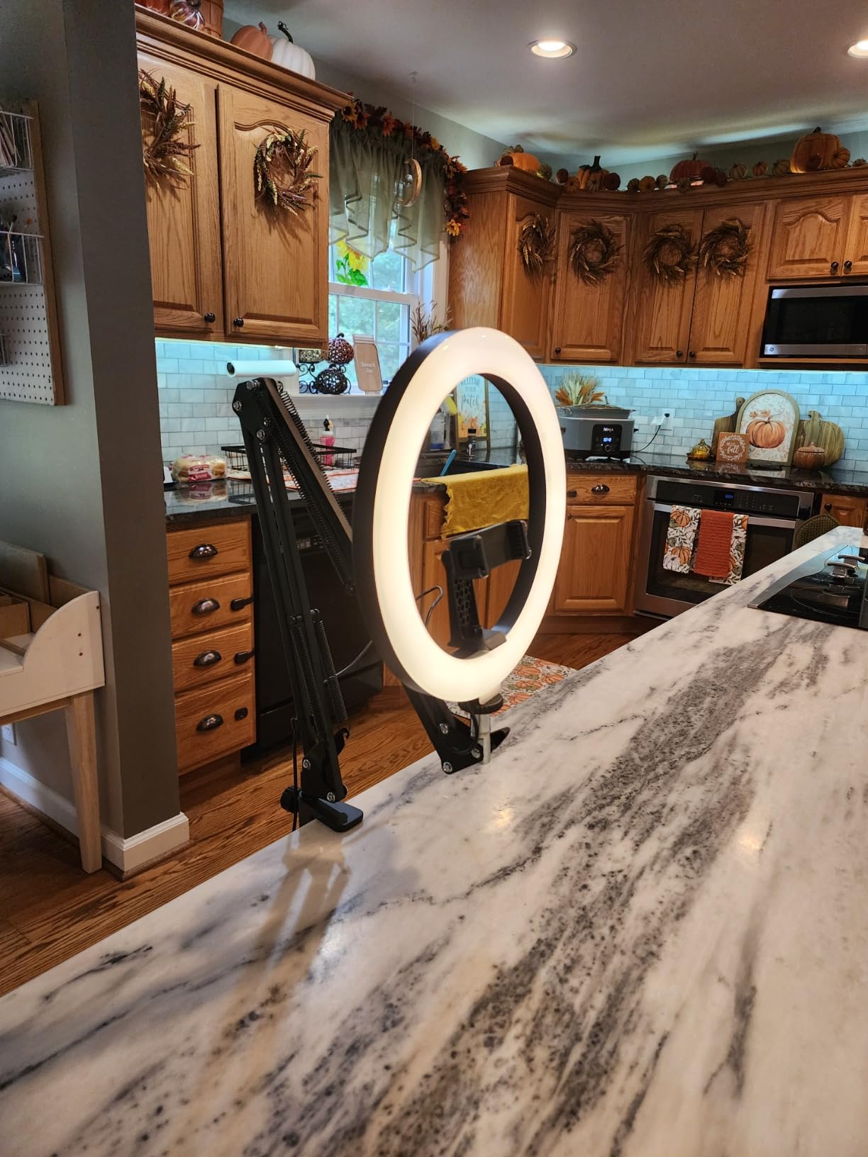 Overhead Phone Mount with Ring Light Phone Holder, 10