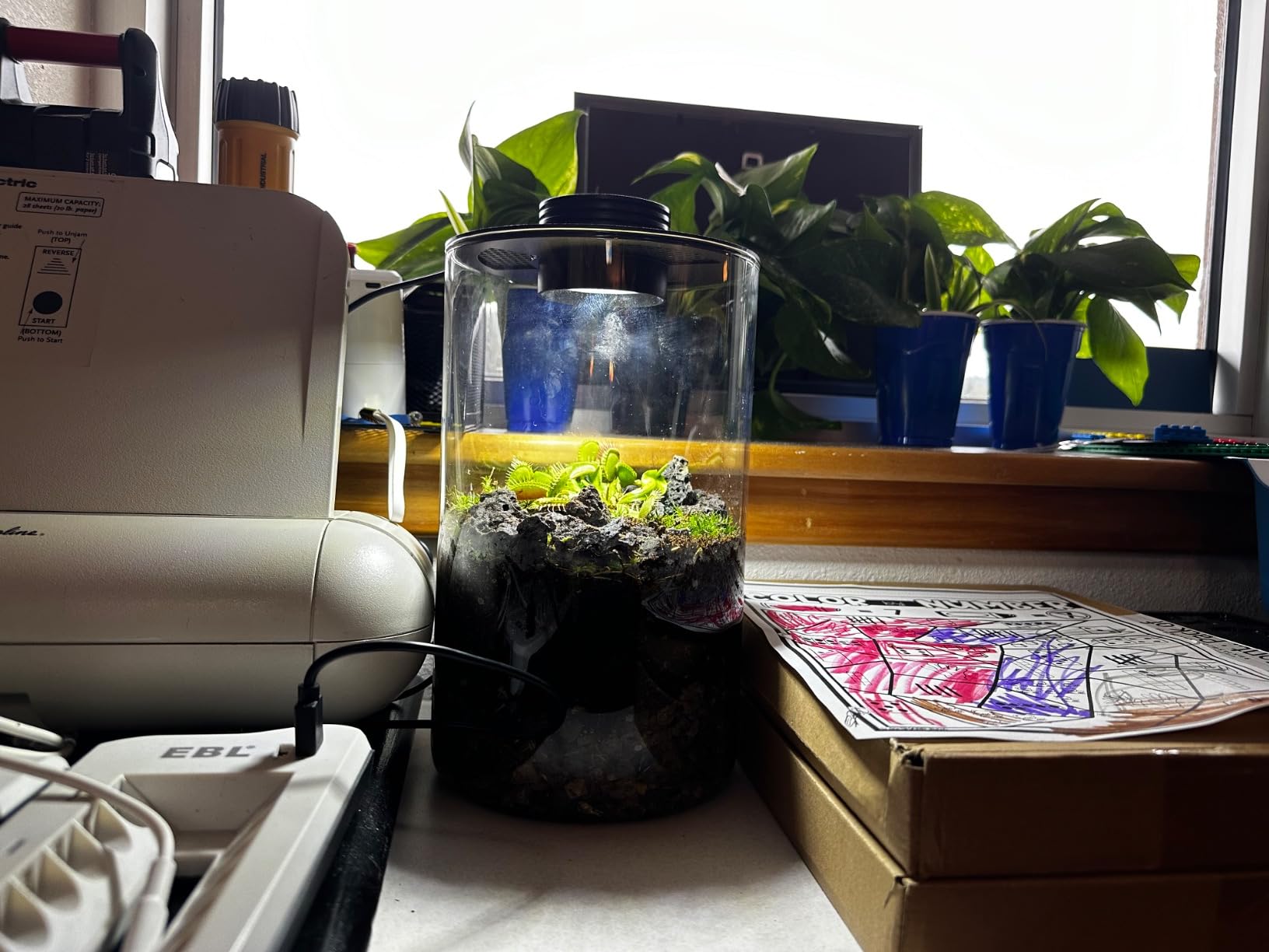 Desktop Glass Plant Terrarium with Grow Light (H:9.8