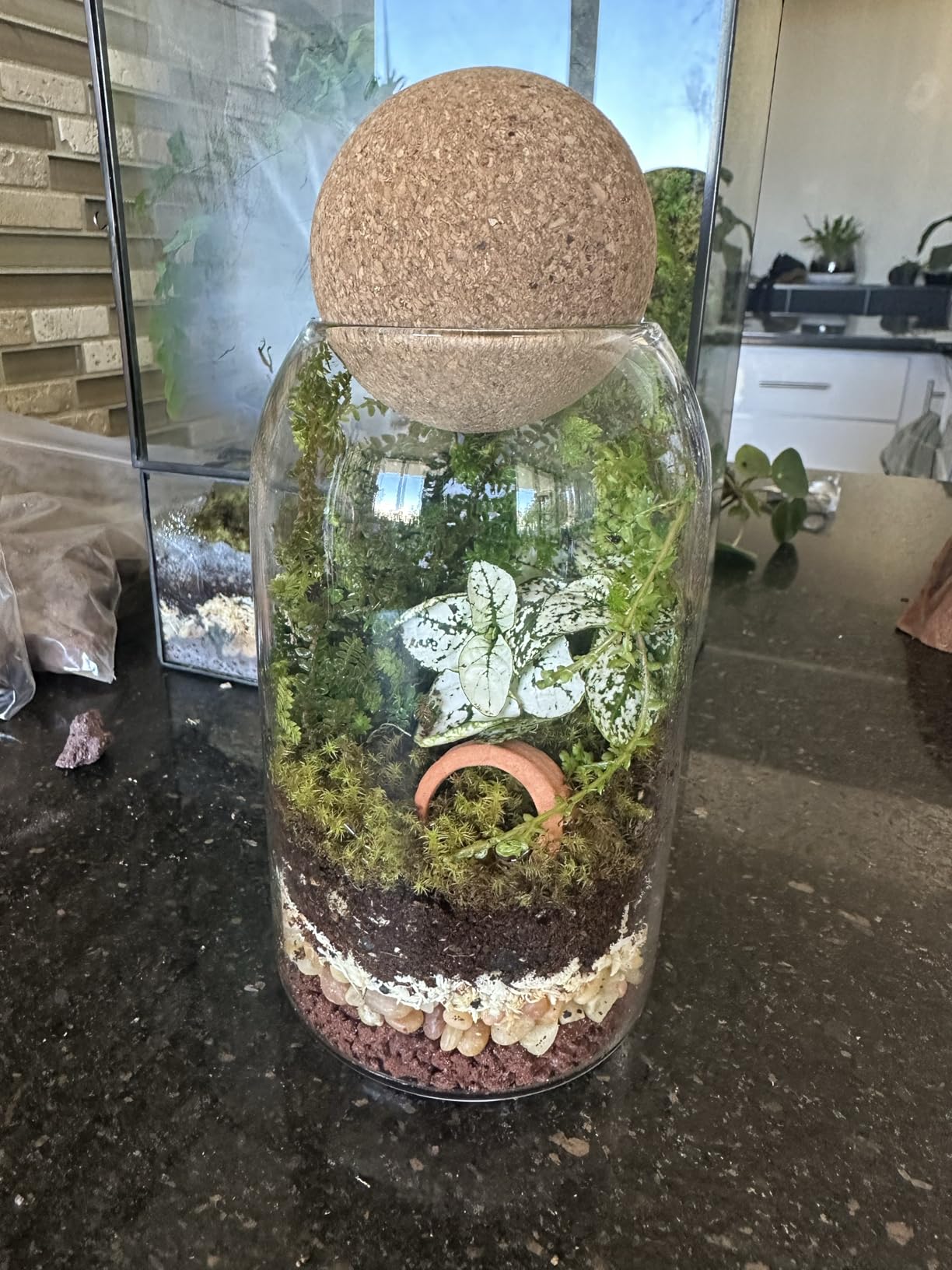 Glass Terrarium with Airtight Wood Lid (Ball Cork) | Closed Terrarium Planter | Clear Glass Bottle Jar Container | 800ml / 27oz | Moss Terrarium Jar | Indoor Ecosystem Decoration Gifts (Only Jar) customer photo 1