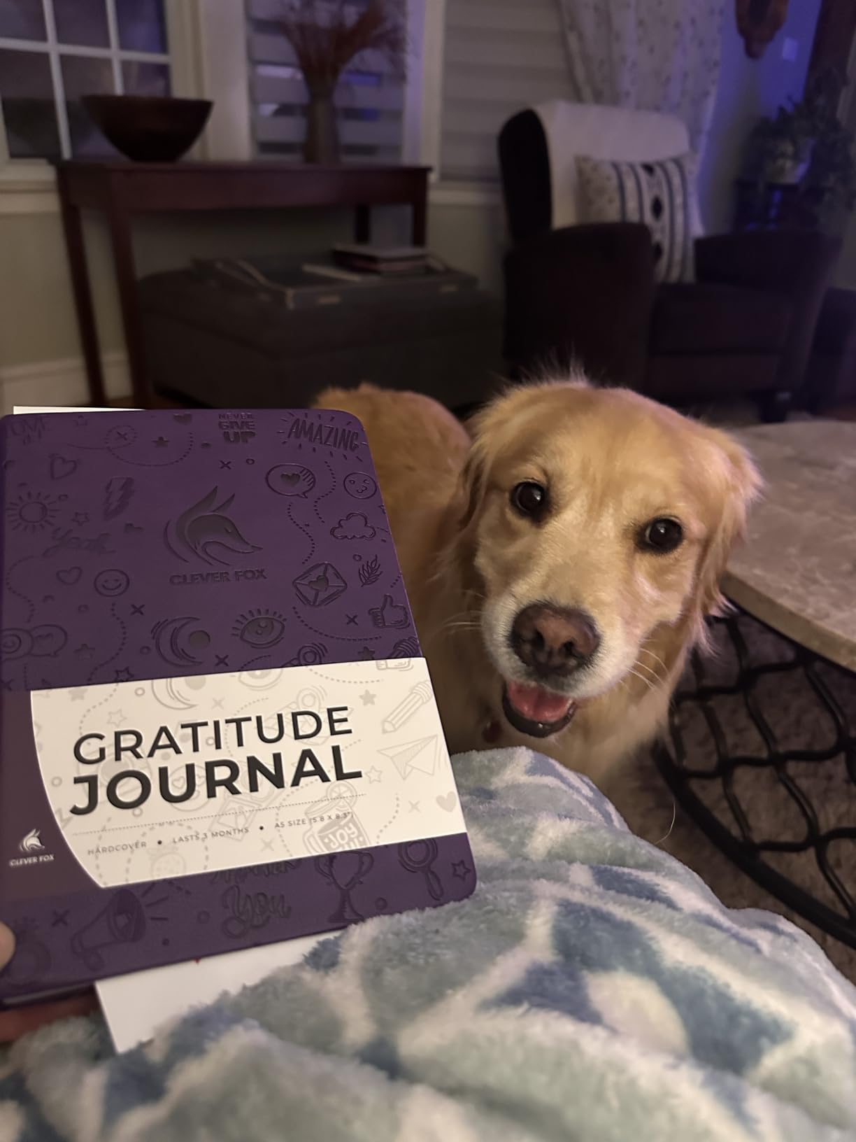 Clever Fox Gratitude Journal - Happiness, Positivity and Affirmation Daily Journal - Inspirational Daily Notebook - 3 Months, A5 (Violet Blossom) customer photo 1