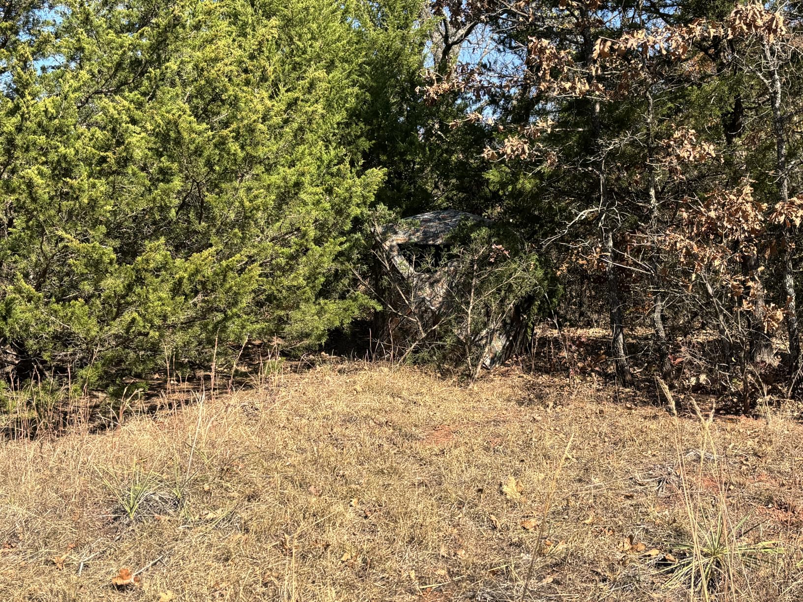 Hunting Blind, 2 Person Pop Up Blinds 360 Degree See Through, Portable Durable Hunting Ground Blinds for Deer & Turkey Hunting customer photo 1