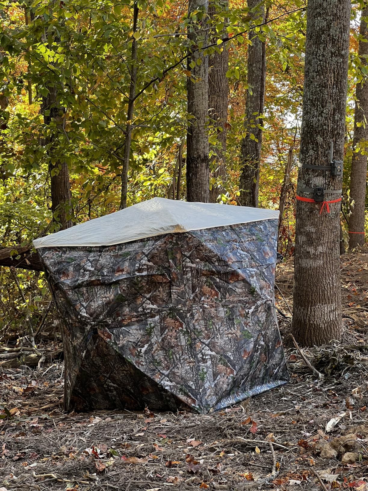 Hunting Blind, 2 Person Pop Up Blinds 360 Degree See Through, Portable Durable Hunting Ground Blinds for Deer & Turkey Hunting customer photo 2