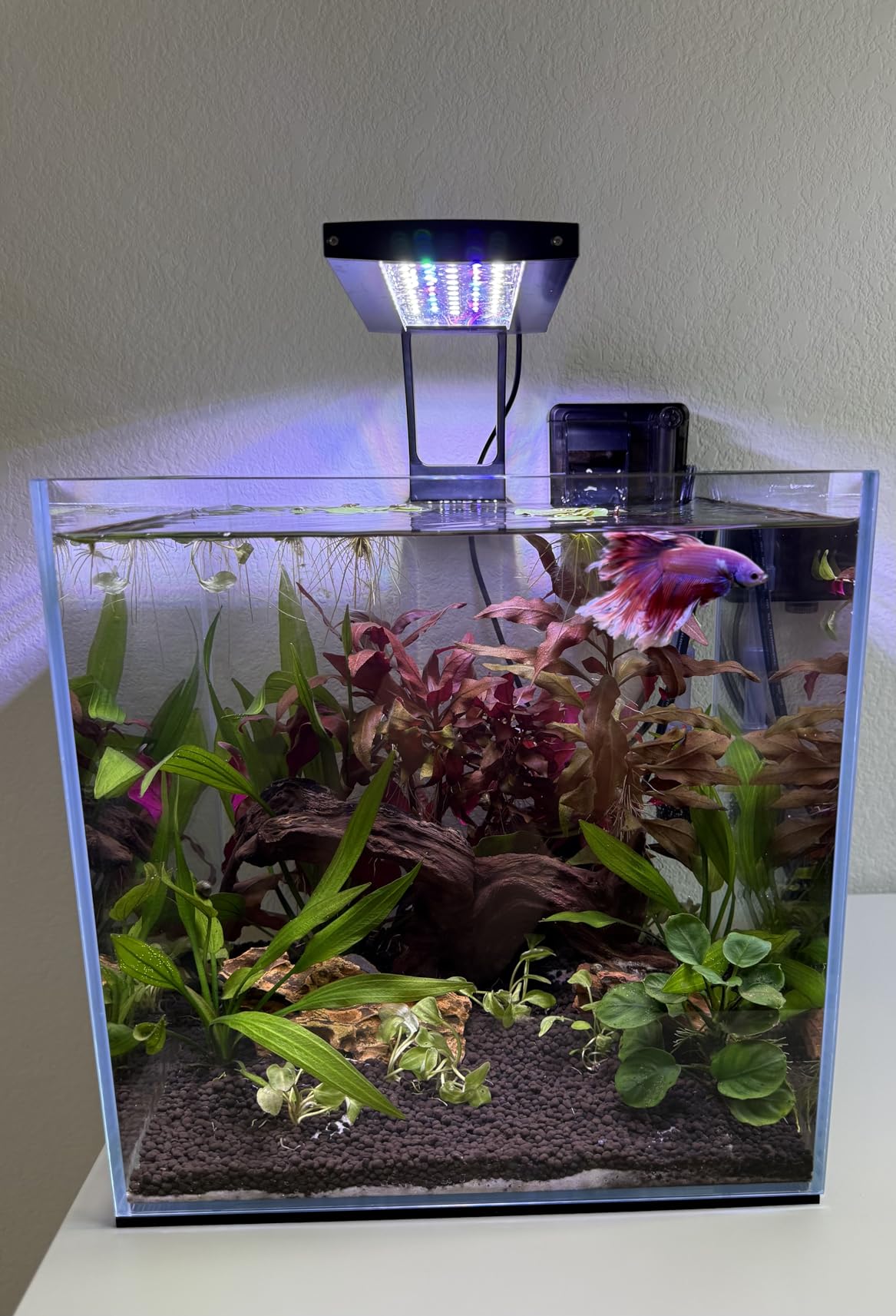 LANDEN 15.6 Gallon Cube Rimless Low Iron Aquarium Tank,15.7