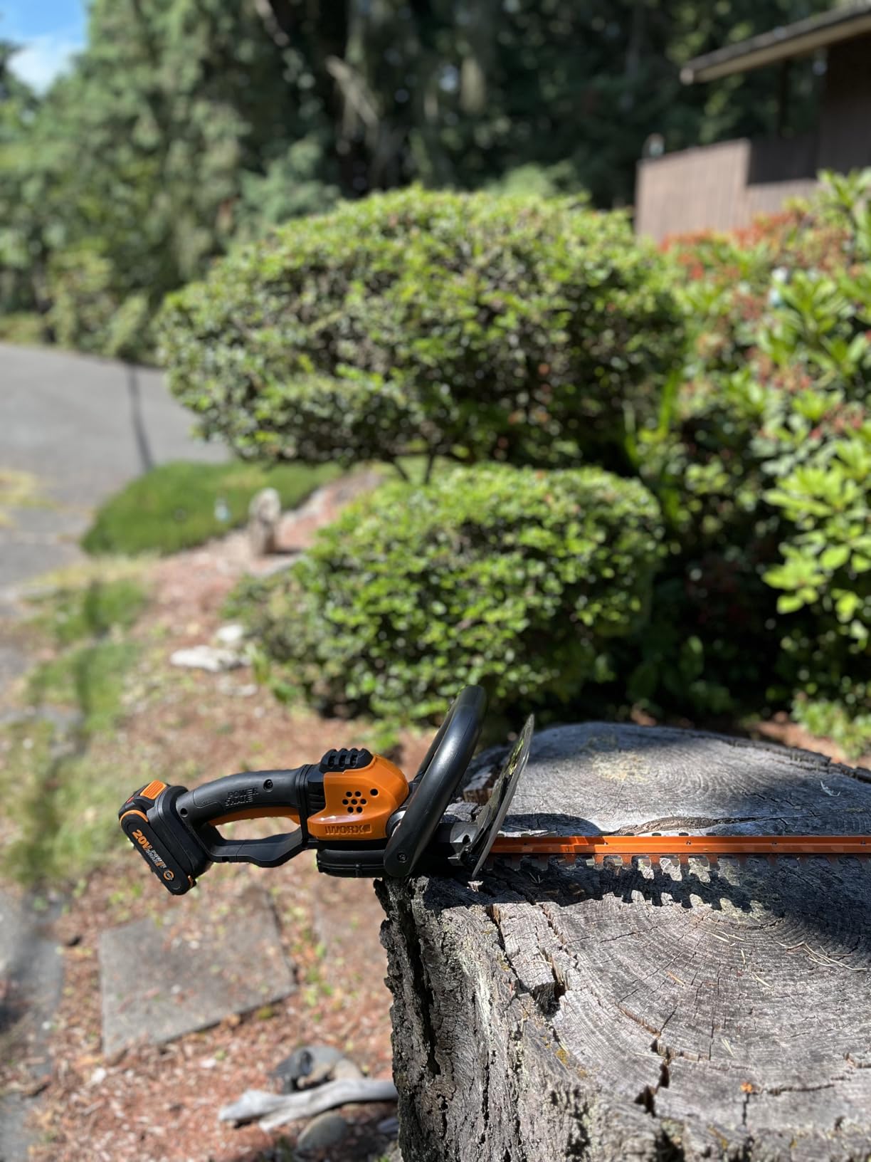WORX Nitro 24