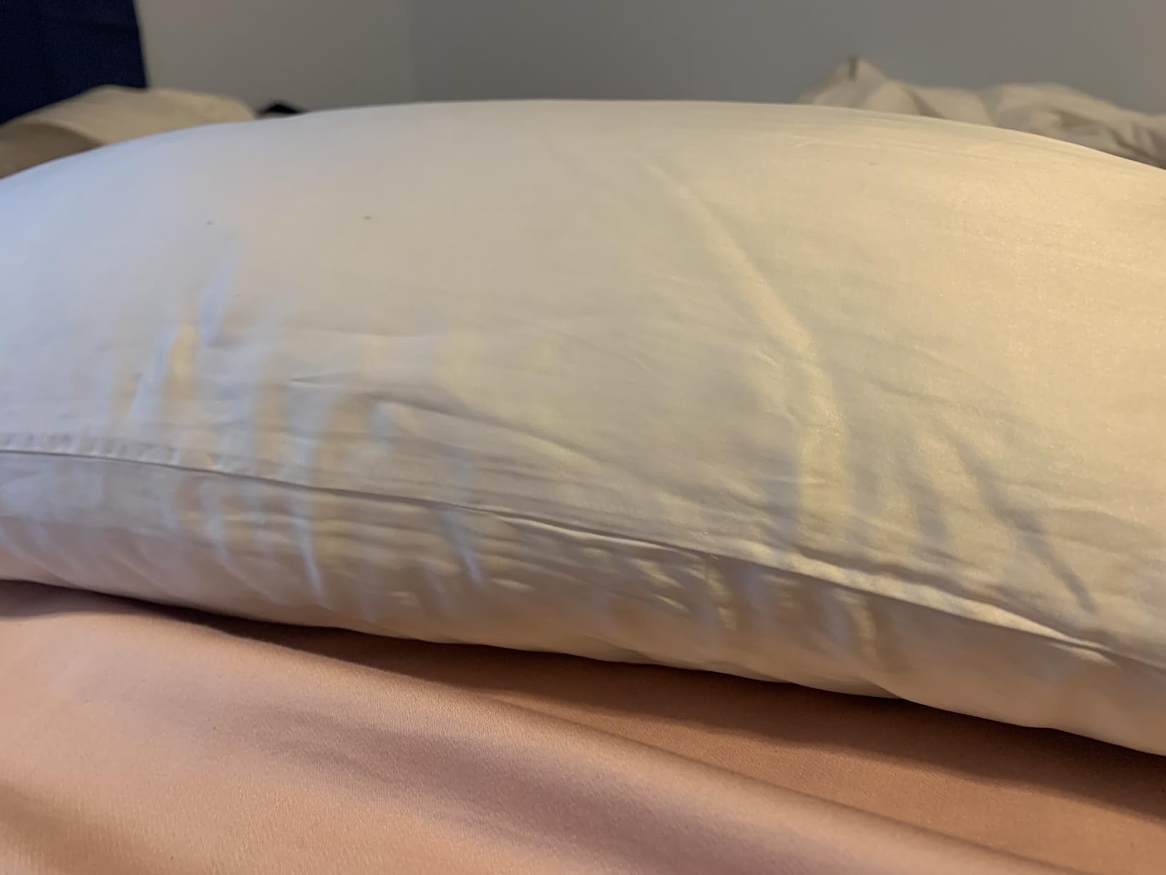 THXSILK 100% Pure Mulberry Silk Pillowcase for Hair and Skin, 25 Momme 6A+ Grade Pure Silk Pillow Case Standard Size, Real Silk Pillowcase with Concealed Zipper (White, Standard) customer photo 2