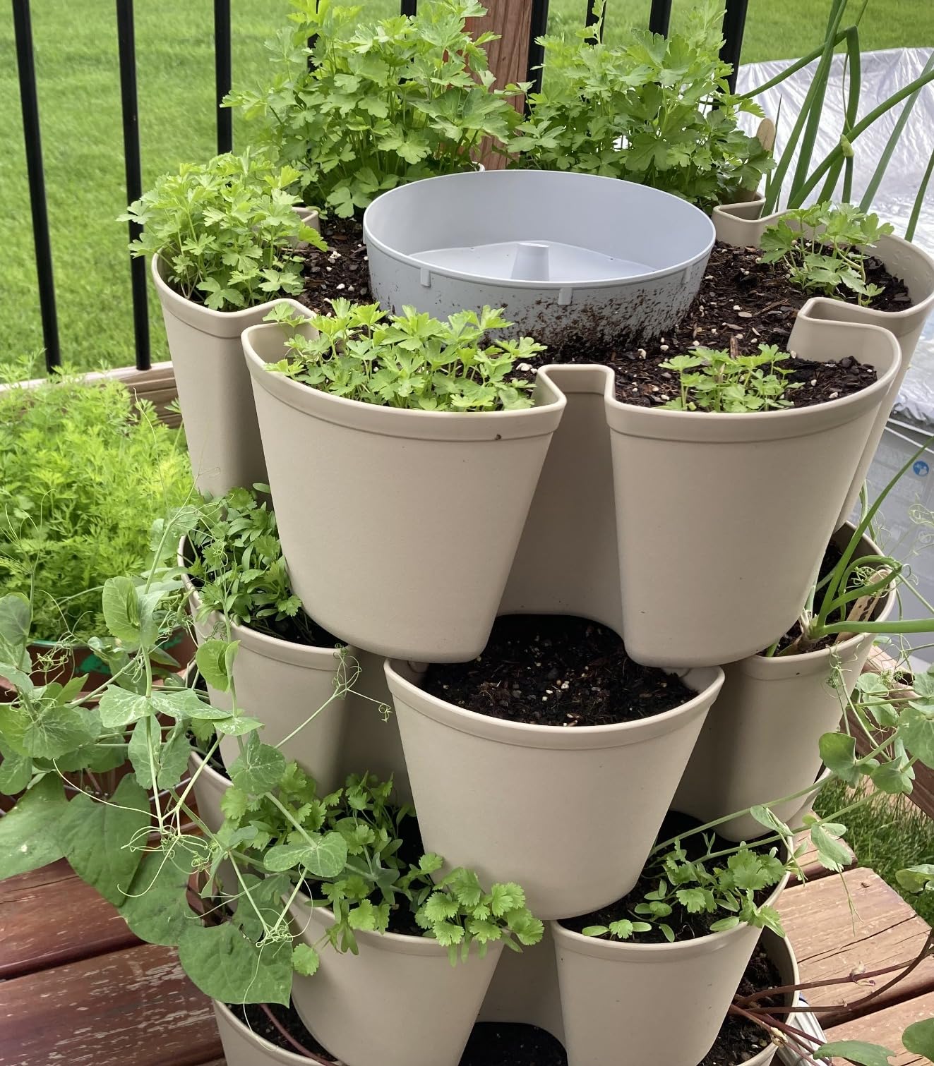 Greenstalk Patented Large 5 Tier Vertical Garden Planter with Patented Internal Watering System Great for Growing a Variety of Strawberries, Vegetables, Herbs, & Flowers customer photo 2