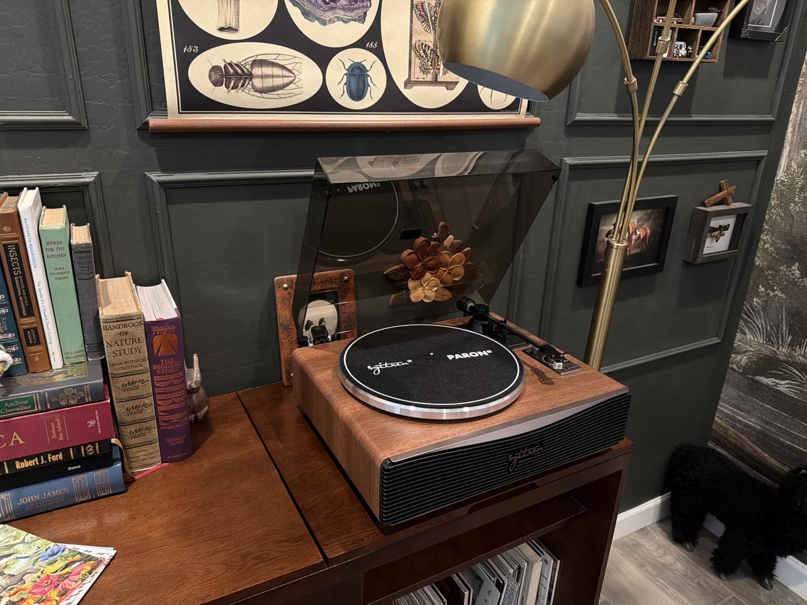 Paron Record Player Vintage Turntable for Vinyl Records with Built-in Speakers Bluetooth Retro Phonograph Wood Walnut customer photo 2