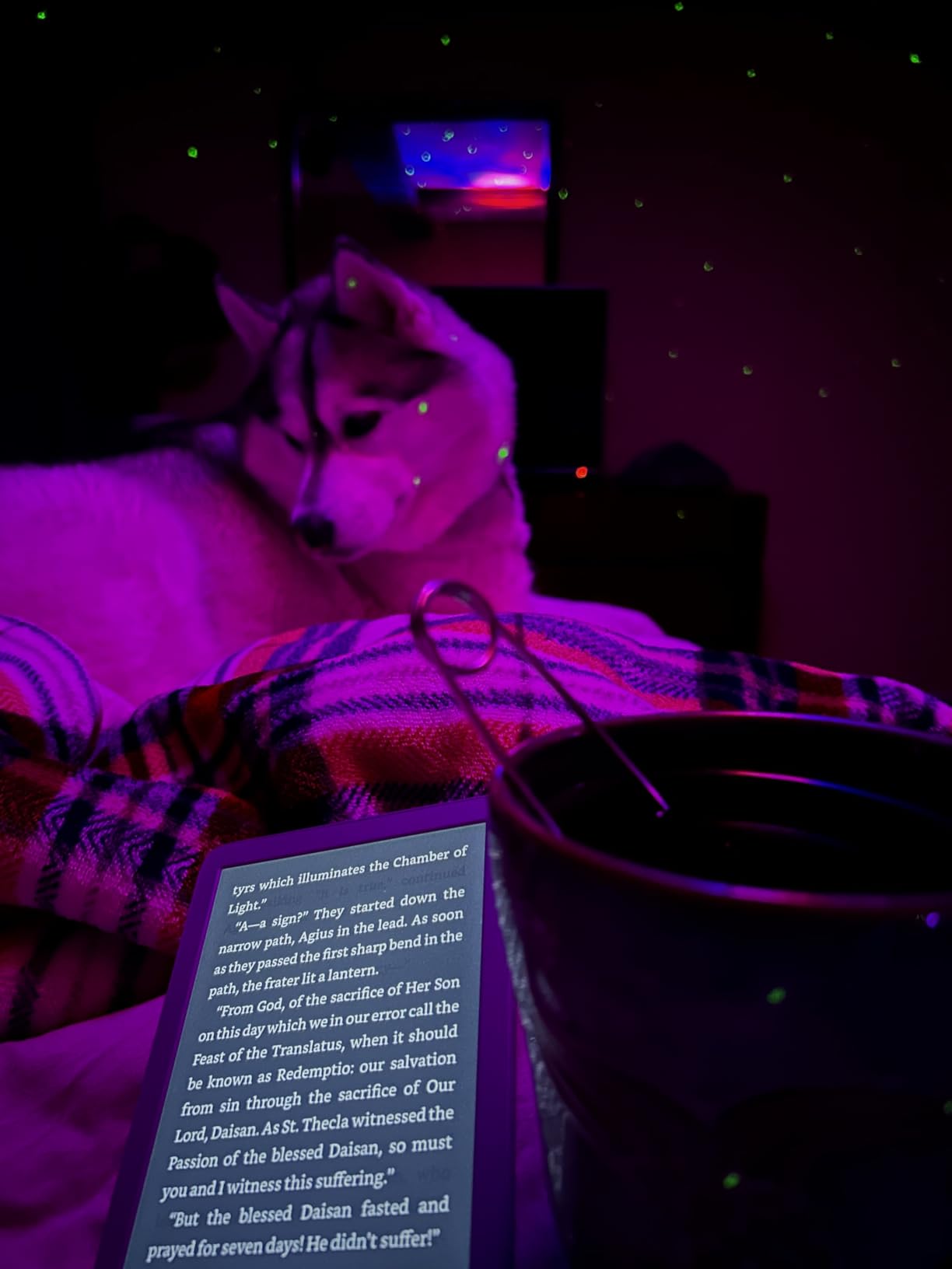 Amazon Kindle 16 GB (newest model) - Lightest and most compact Kindle, now with faster page turns, and higher contrast ratio, for an enhanced reading experience - Black customer photo 2