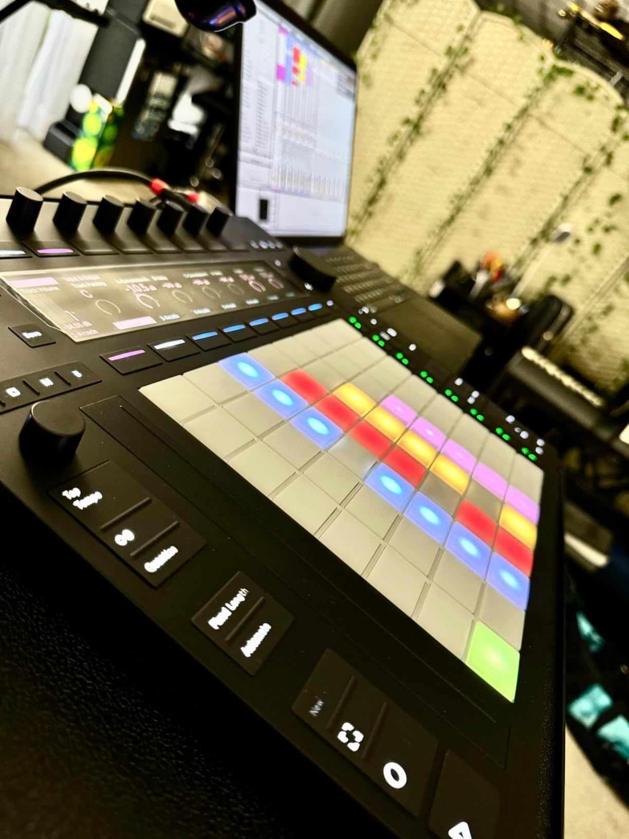 Push 3 Desktop Controller Workstation w/ 64 MPE pads and Audio Interface customer photo 2