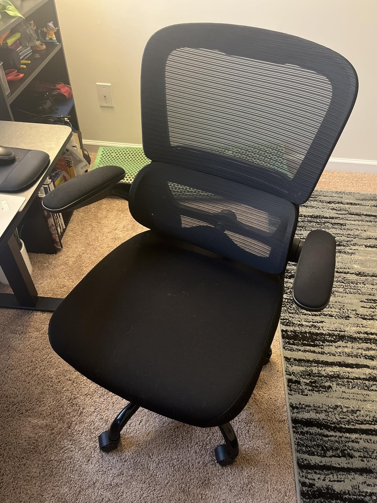 TRALT Office Chair - Ergonomic Desk Chair with Adjustable Lumbar Support, Mesh Computer Chair, Executive Chairs for Home Office customer photo 2