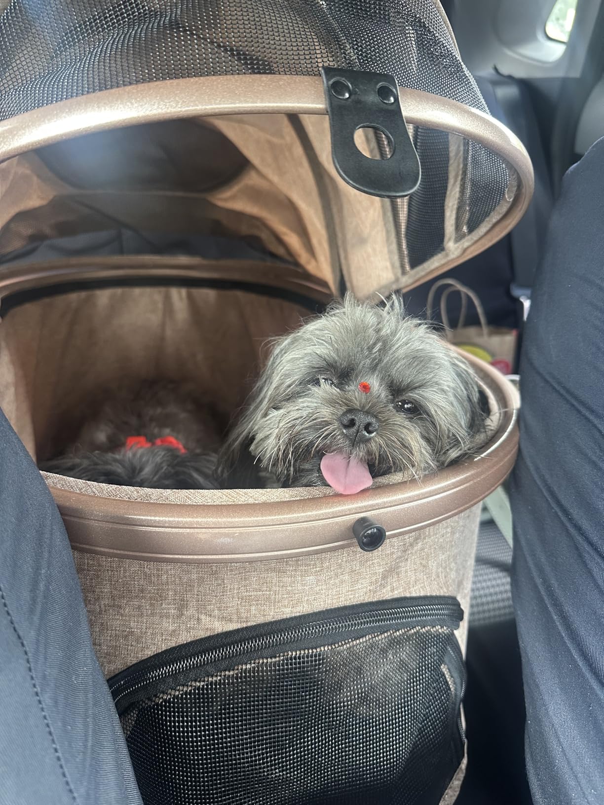Pet Stroller for Medium Dogs, Smooth-Ride Dog Stroller with Detachable Carrier, Rubber Wheels, Car Seat Combo 3-in-1, Up to 50 lbs, for Senior Dogs & Cats, Grey customer photo 2