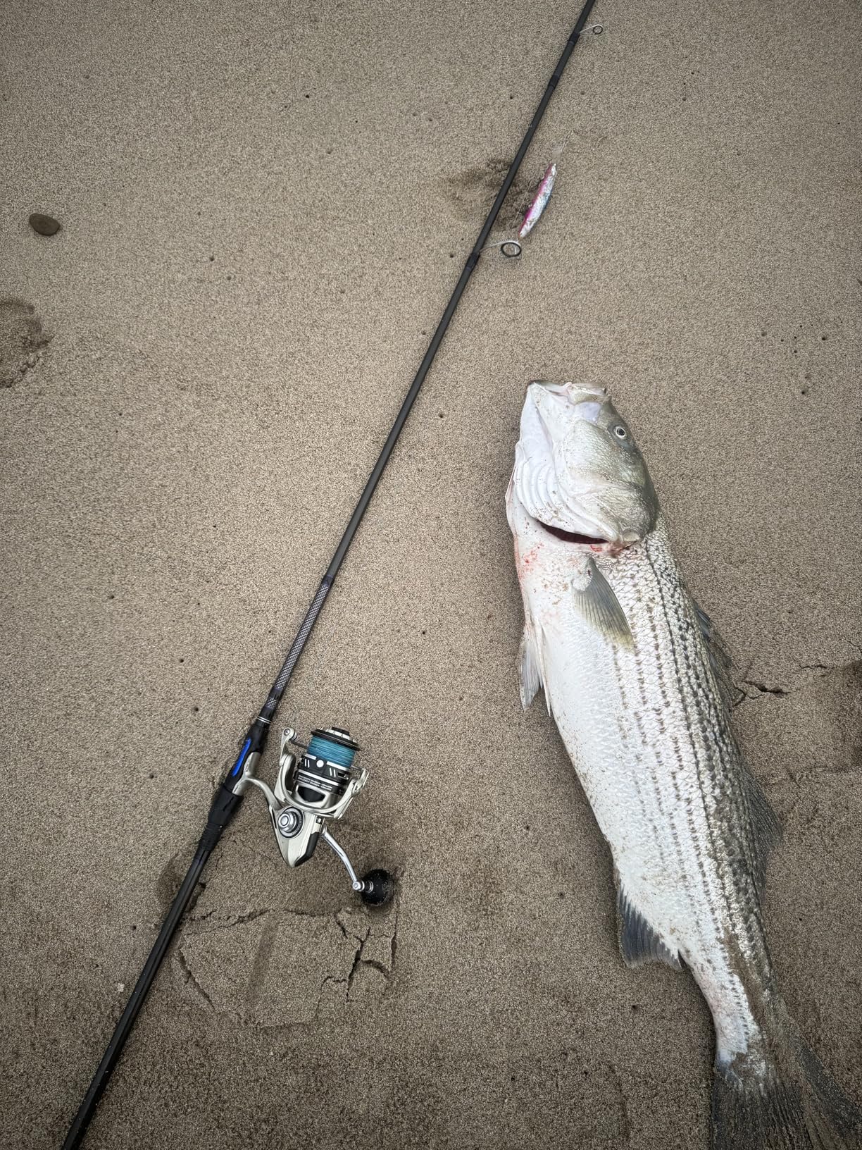 Piscifun NautiX Spinning Reel customer photo 1