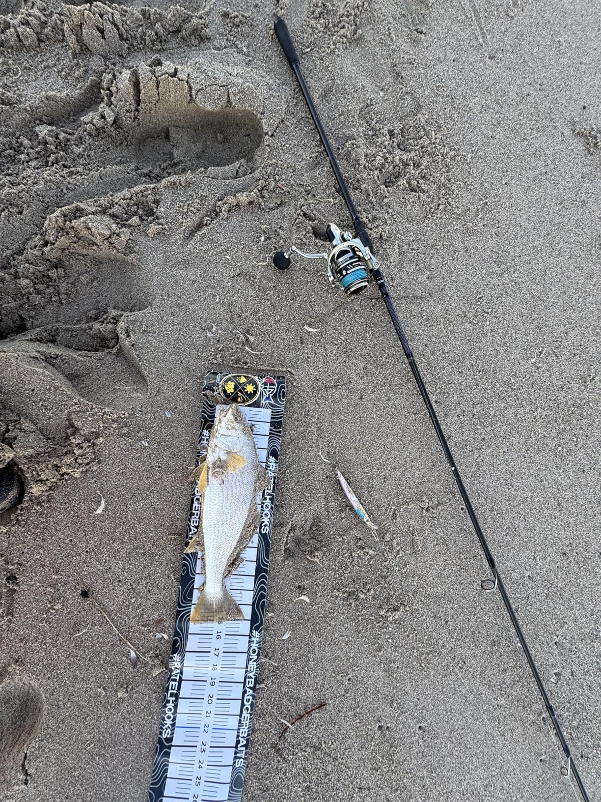 Piscifun NautiX Spinning Reel customer photo 2