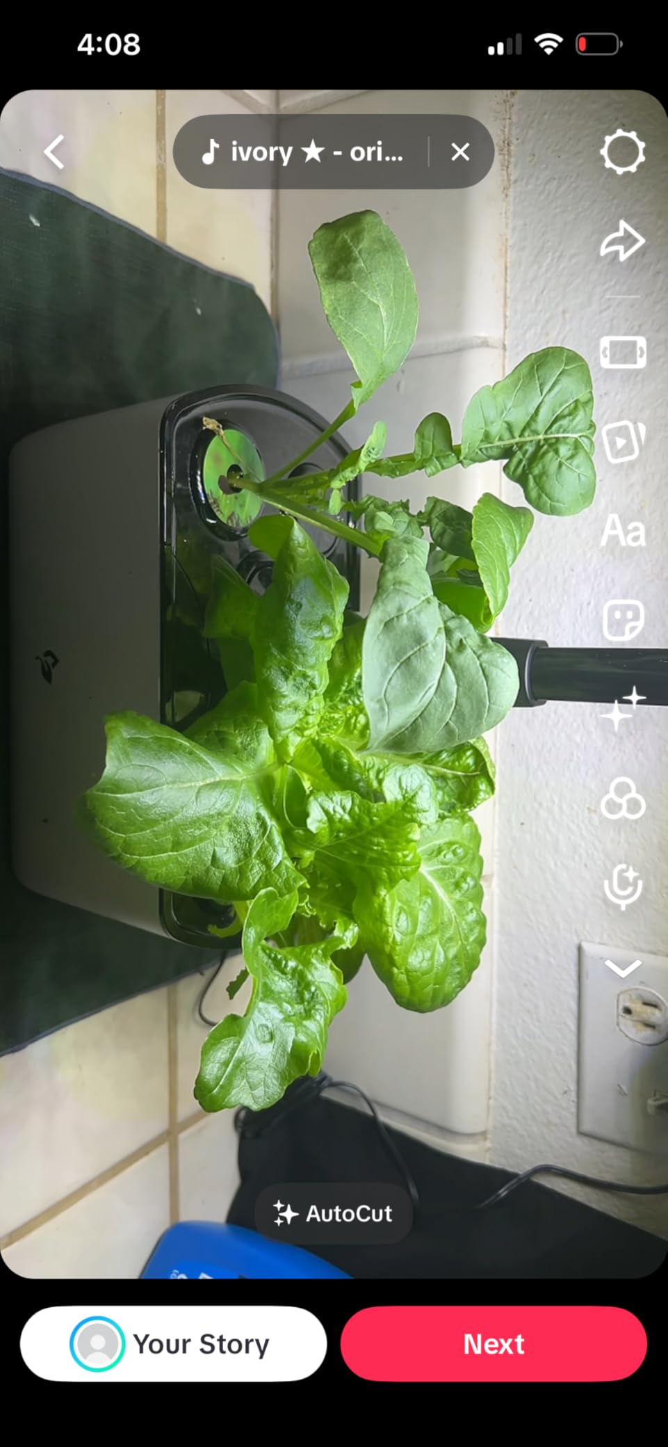 AeroGarden Harvest Lite in Cream, Soil-Free Indoor Hydroponic Garden with LED Grow Light for Year-Round Gardening of up to 6 Herbs and Vegetables customer photo 1